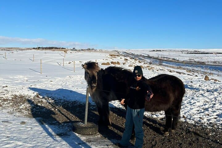 Golden Circle : Private Guided Day Tour + Blue Lagoon(Optional) - photo 11