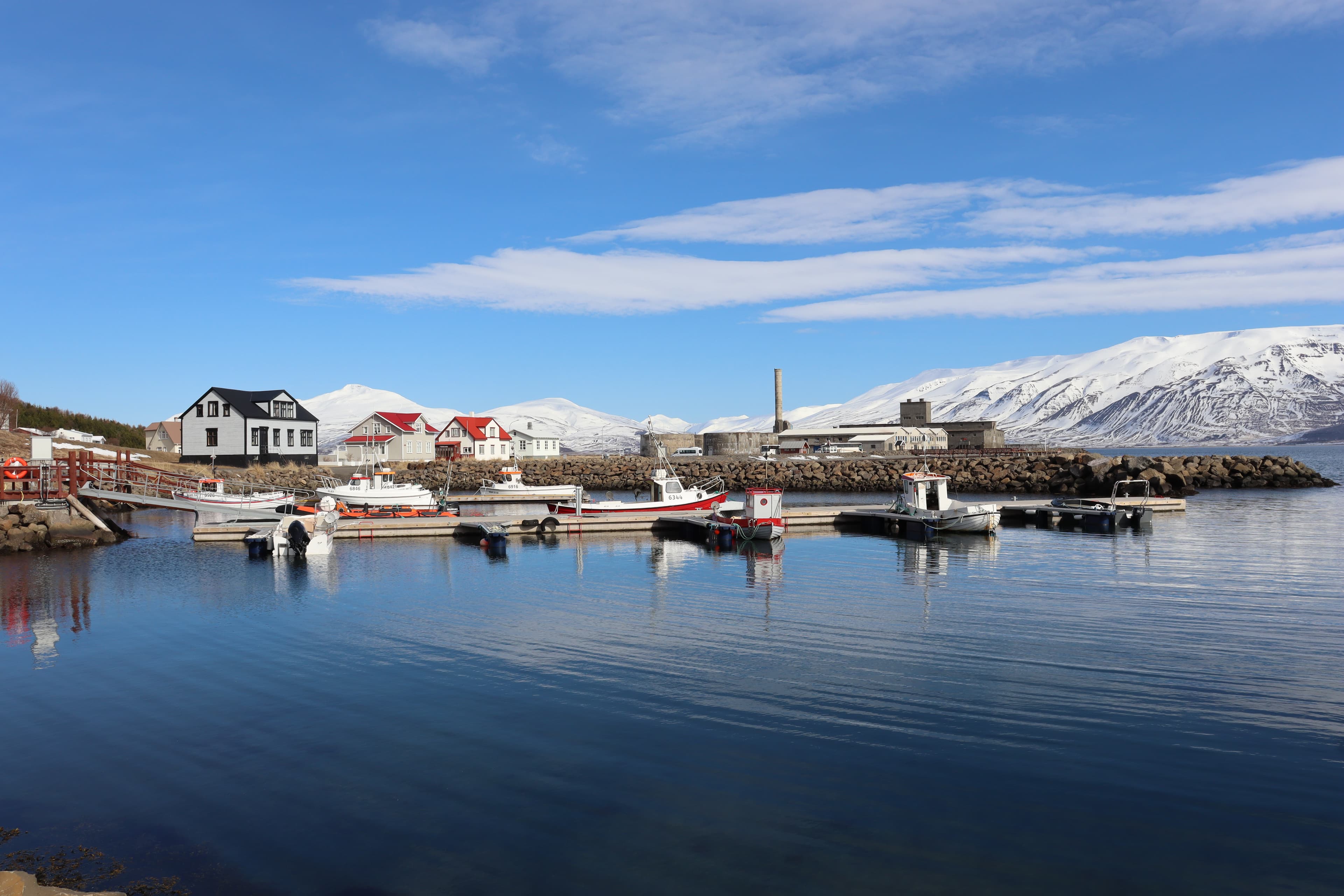 Whale watching, local taste and Micro Brewery - photo 4