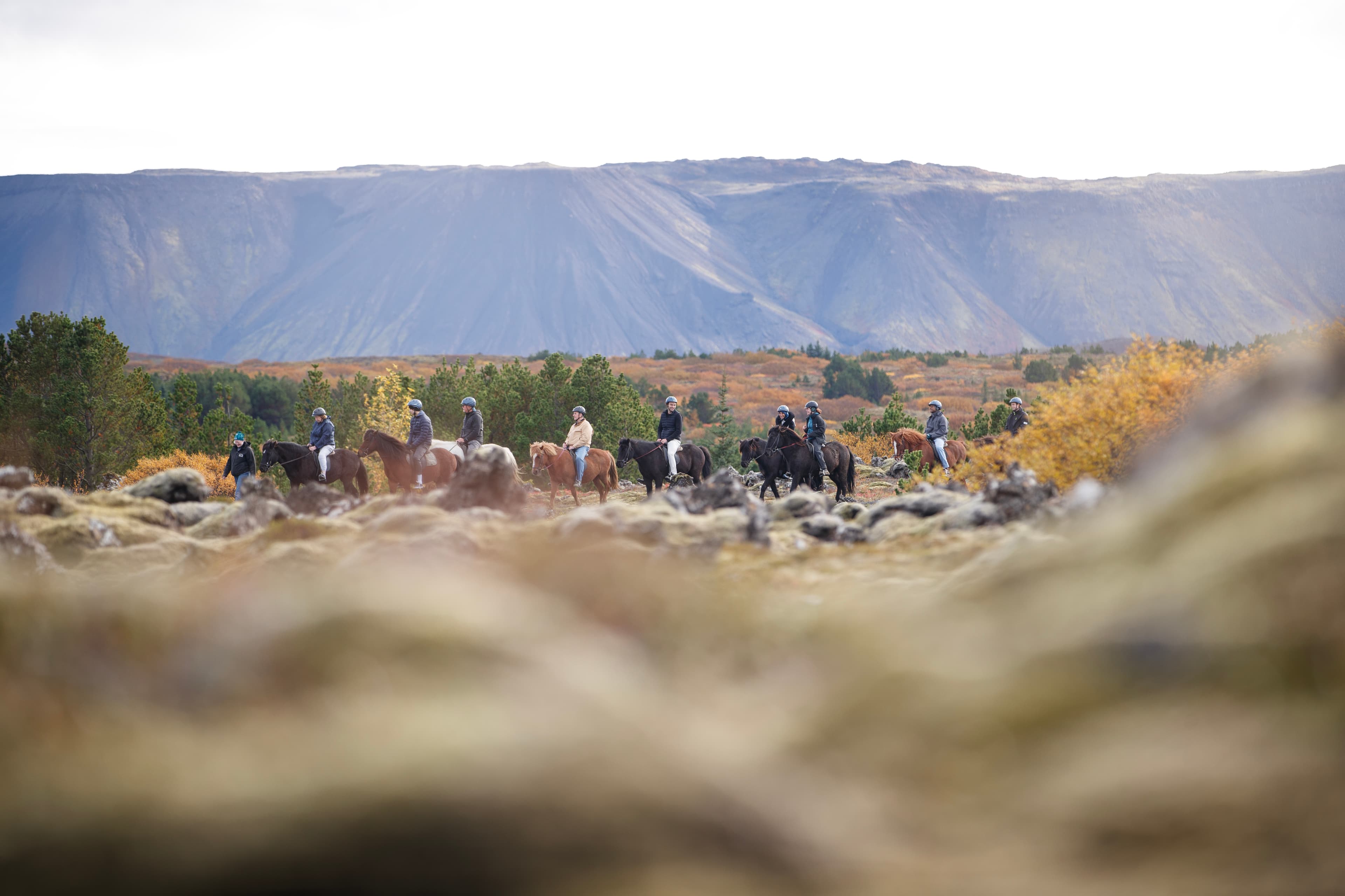 Lava Tour - Horseback Riding through the Lava Fields - photo 27