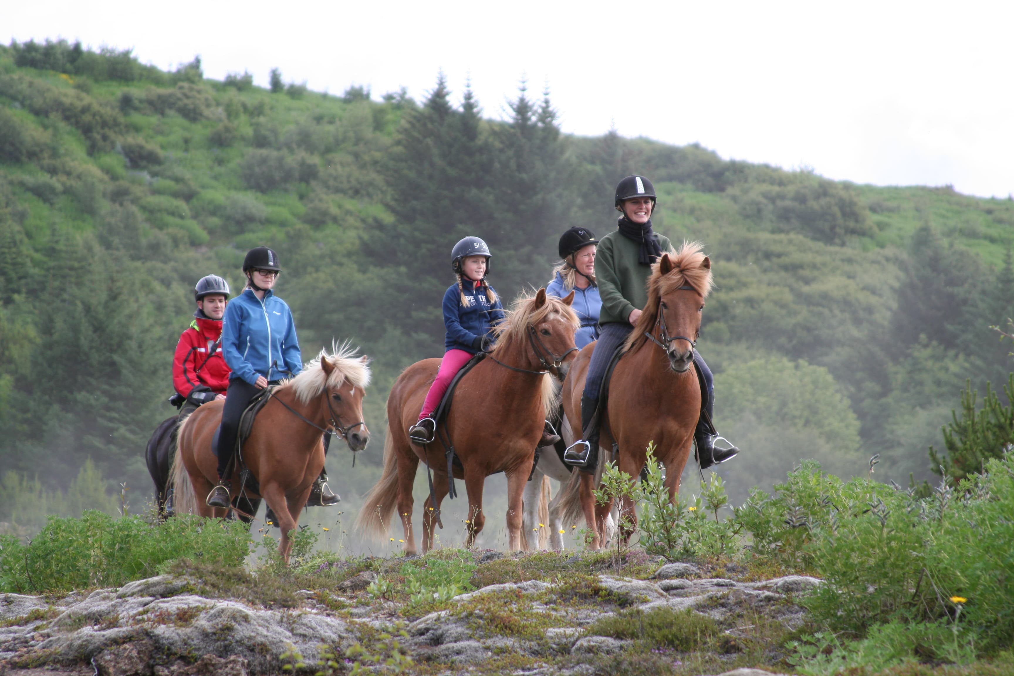 Lava Tour - Horseback Riding through the Lava Fields - photo 22