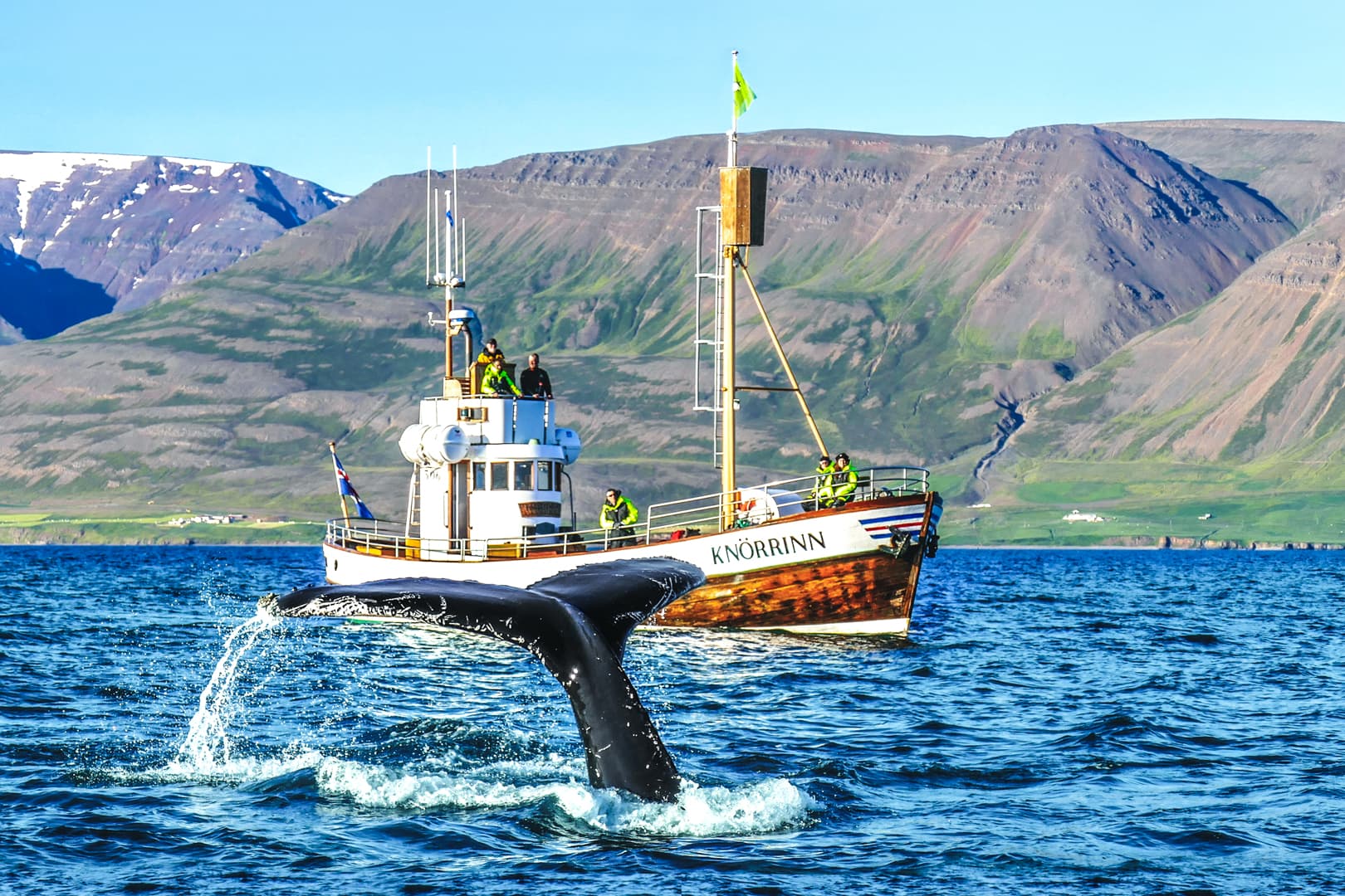 Whale Watching Eyjafjörður: From Árskógssandur - photo 3
