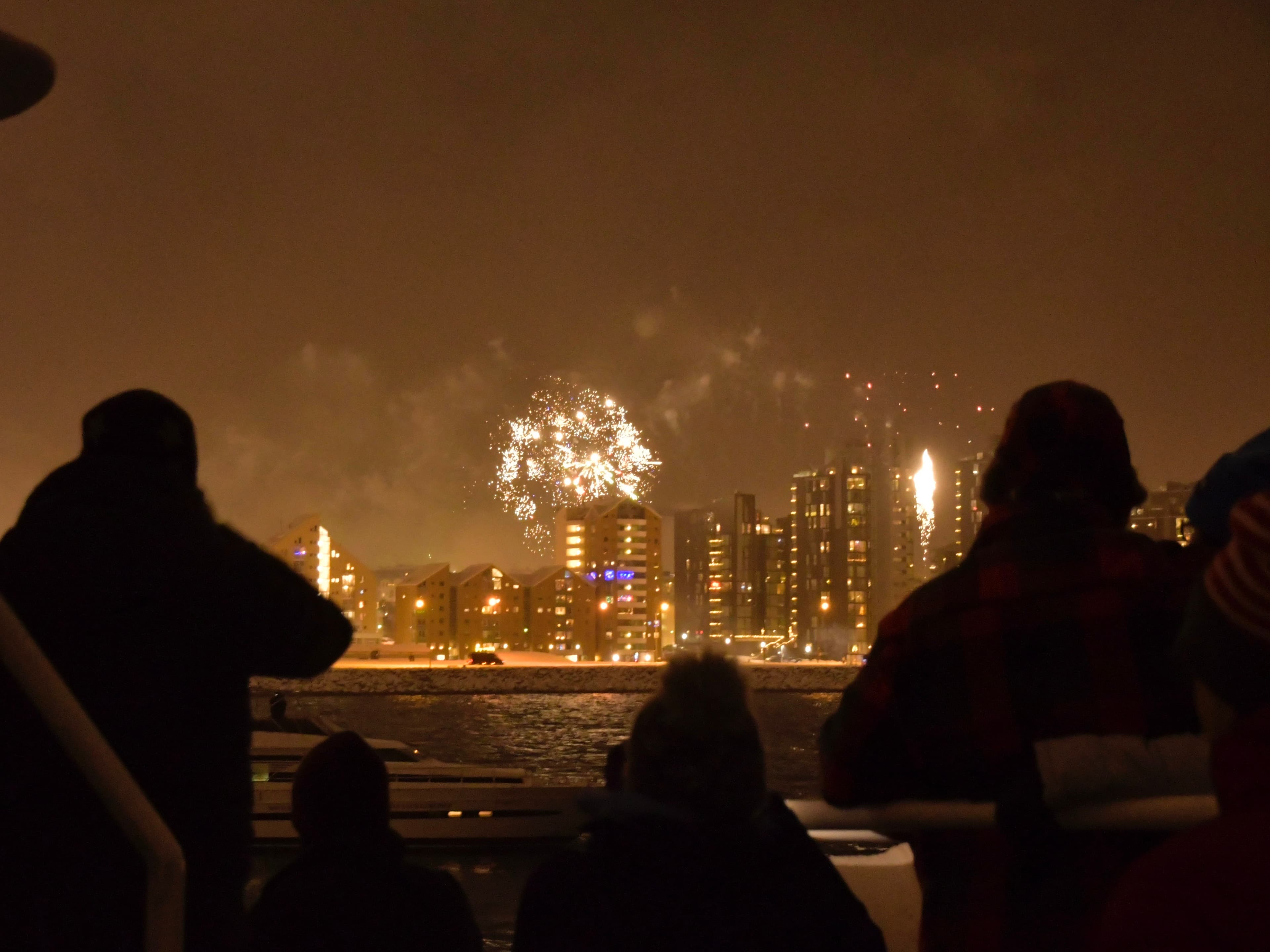 Reykjavík New Year's Eve Celebration at Sea - photo 5