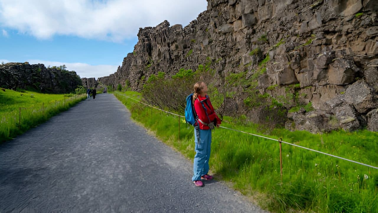 Golden Circle Tour with German Guide: Small Group from Cruise Terminal - photo 15