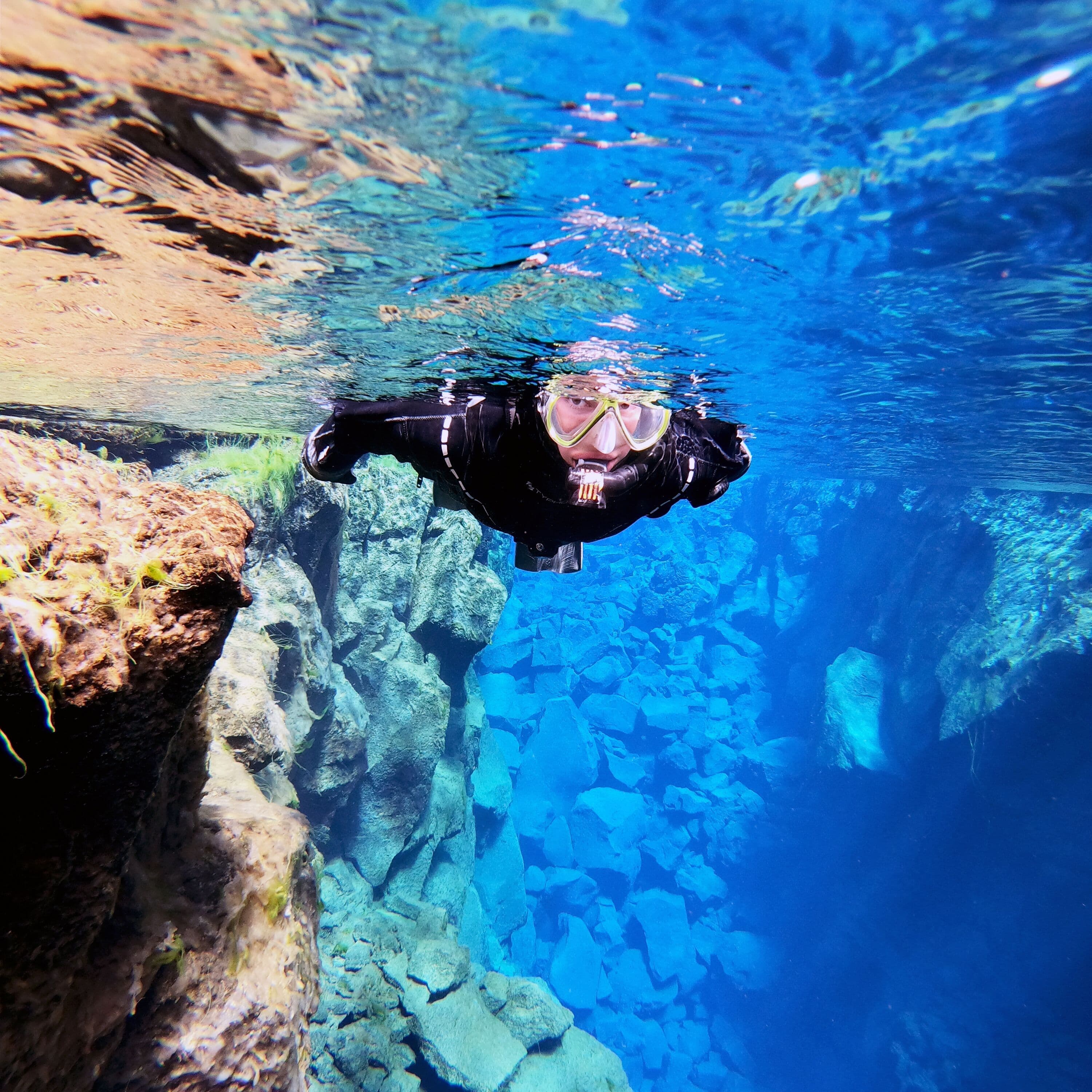 Silfra Snorkeling - with underwater photos & Horseback riding