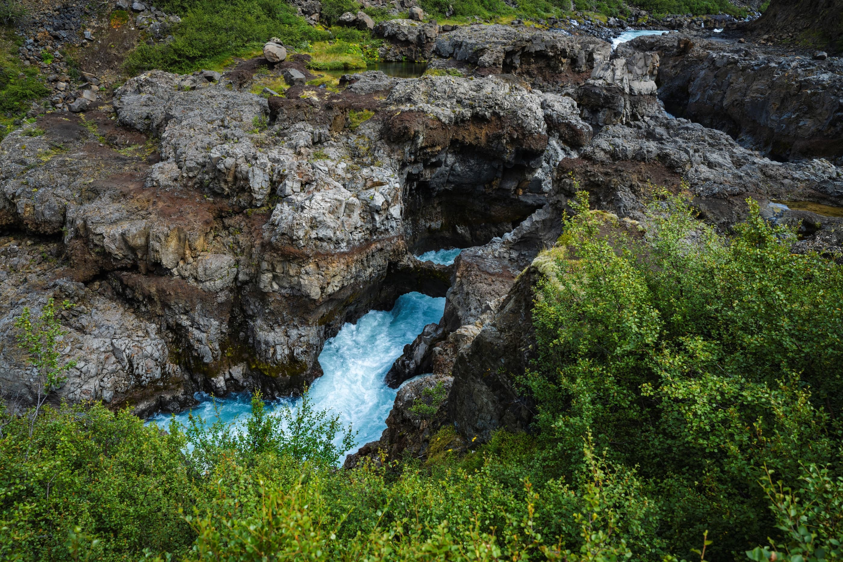 Silver Circle & Viðgelmir Lava Cave - photo 9
