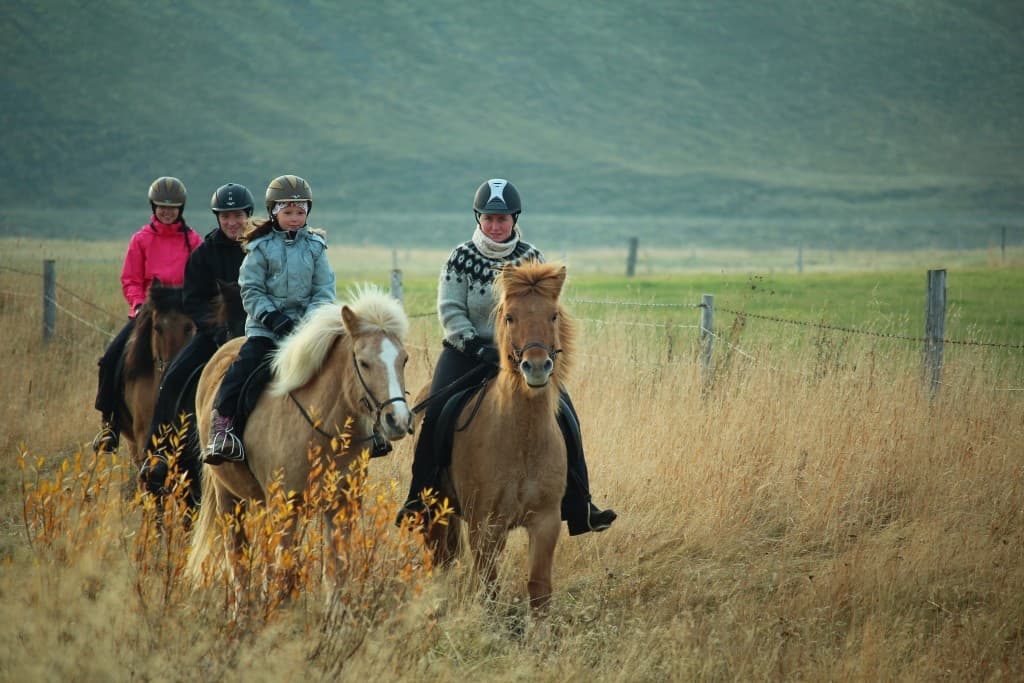 The Viking-Ride- All in One - photo 3