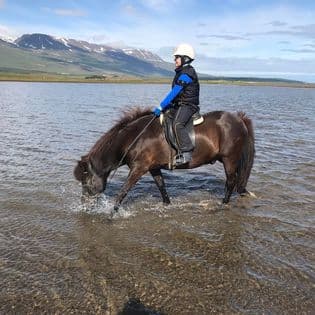 Horse Riding Tour and Explore Scenery in Gásir Akureyri - photo 12