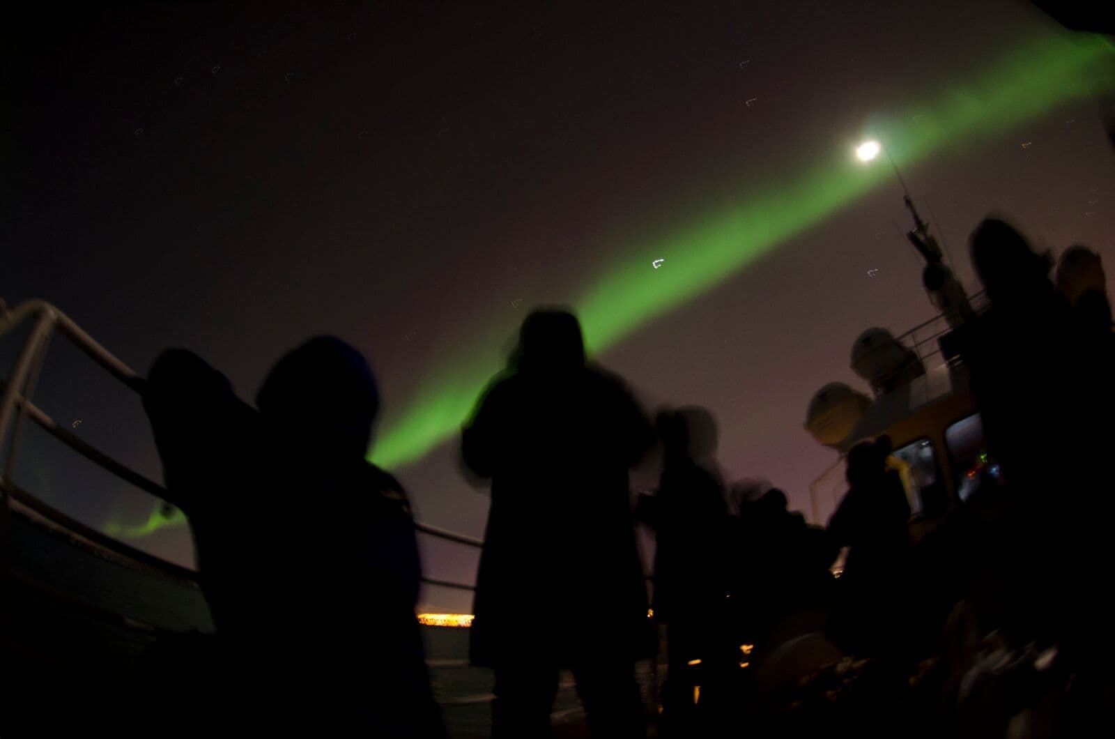 Reykjavík Whales & Northern Lights - photo 12