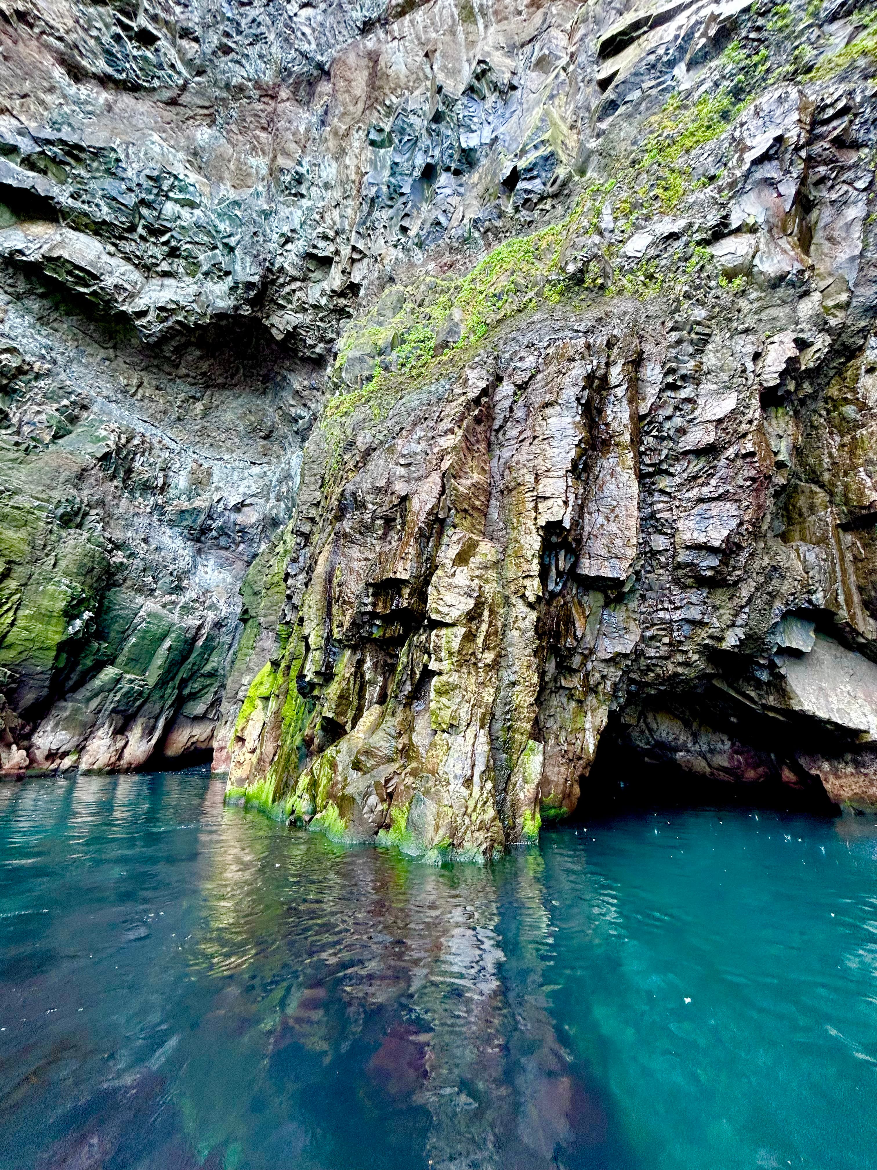 Puffin Quest
