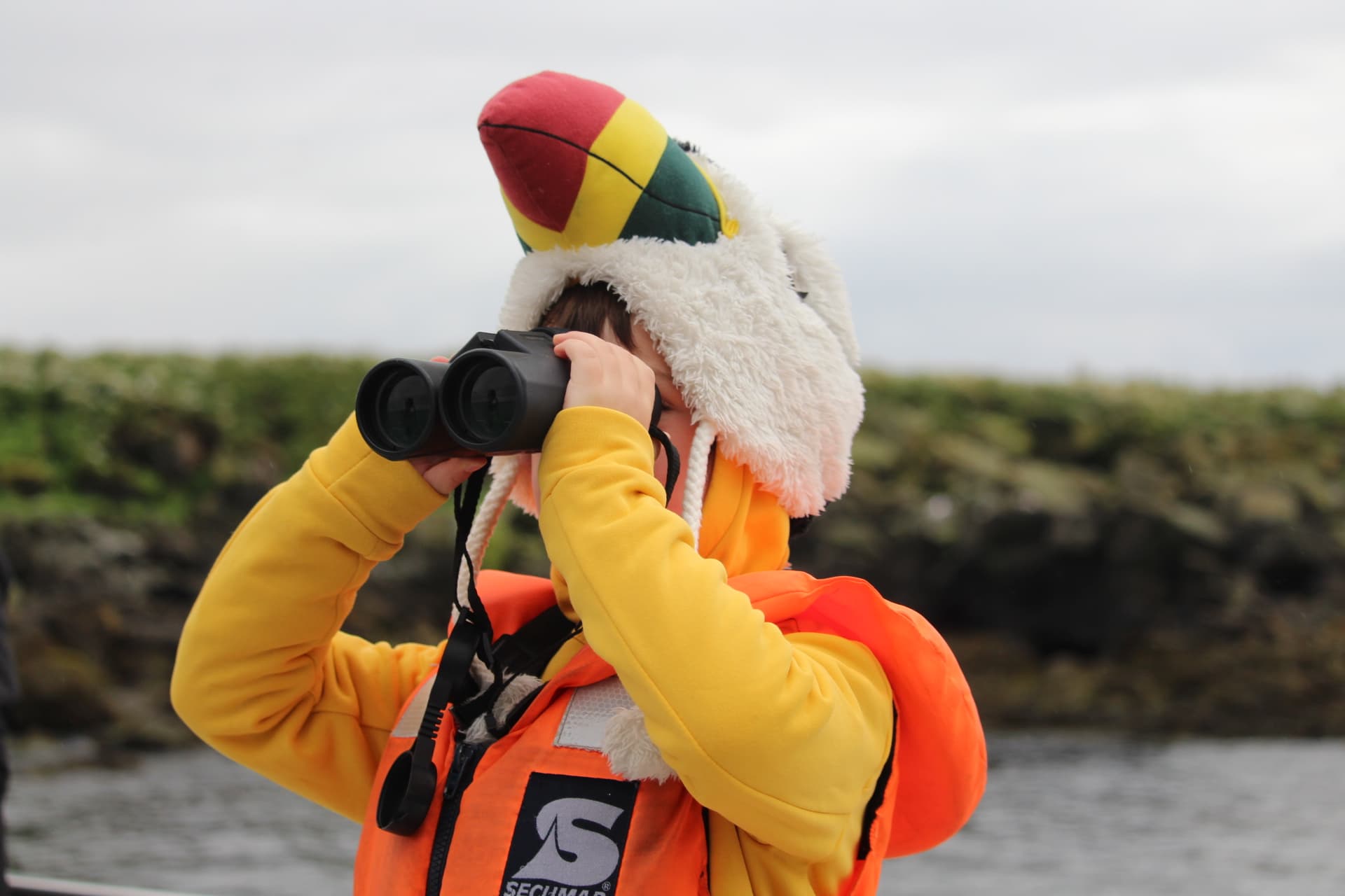 Reykjavík Classic Puffin Watching - photo 3