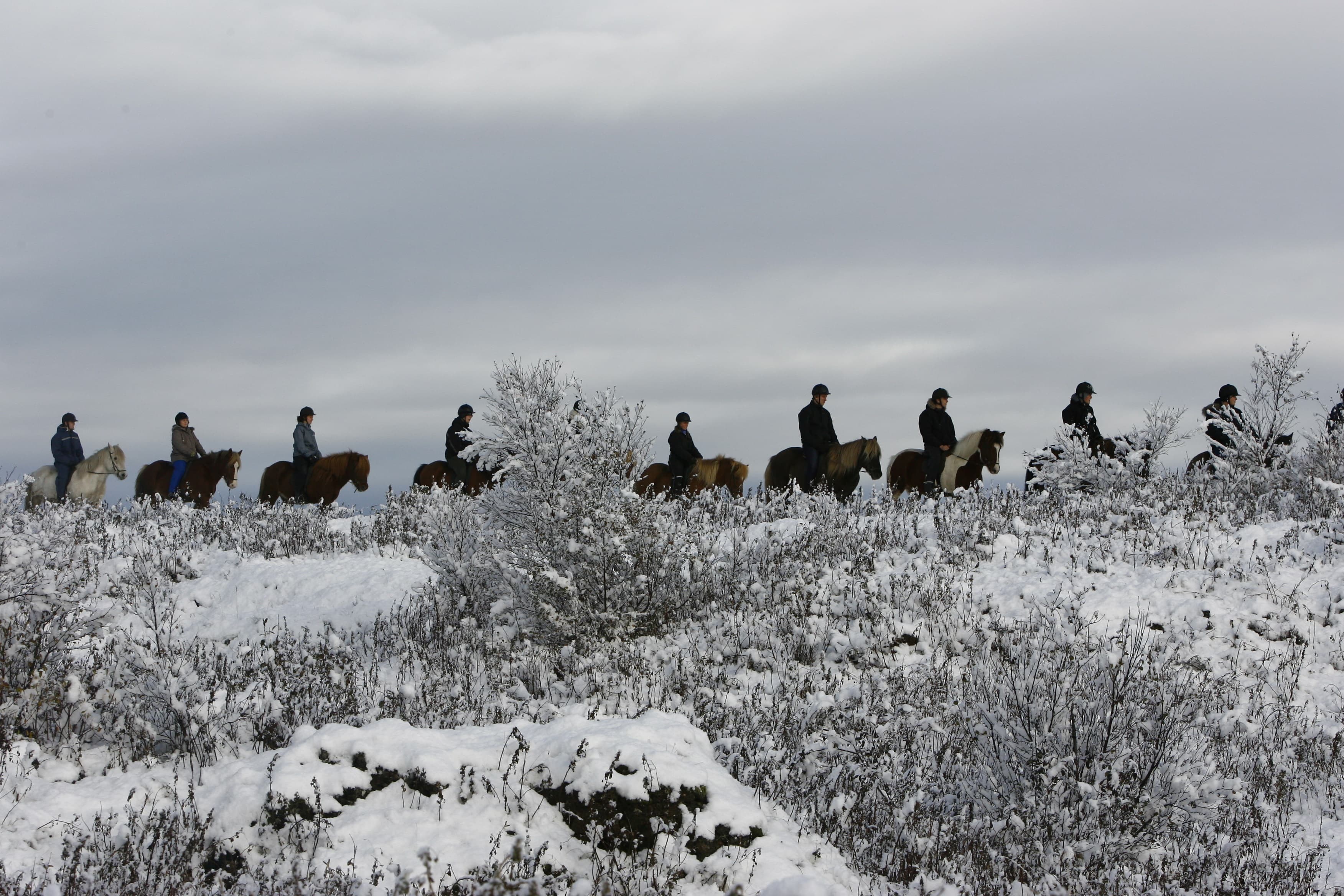 Private Horseback Riding Tour