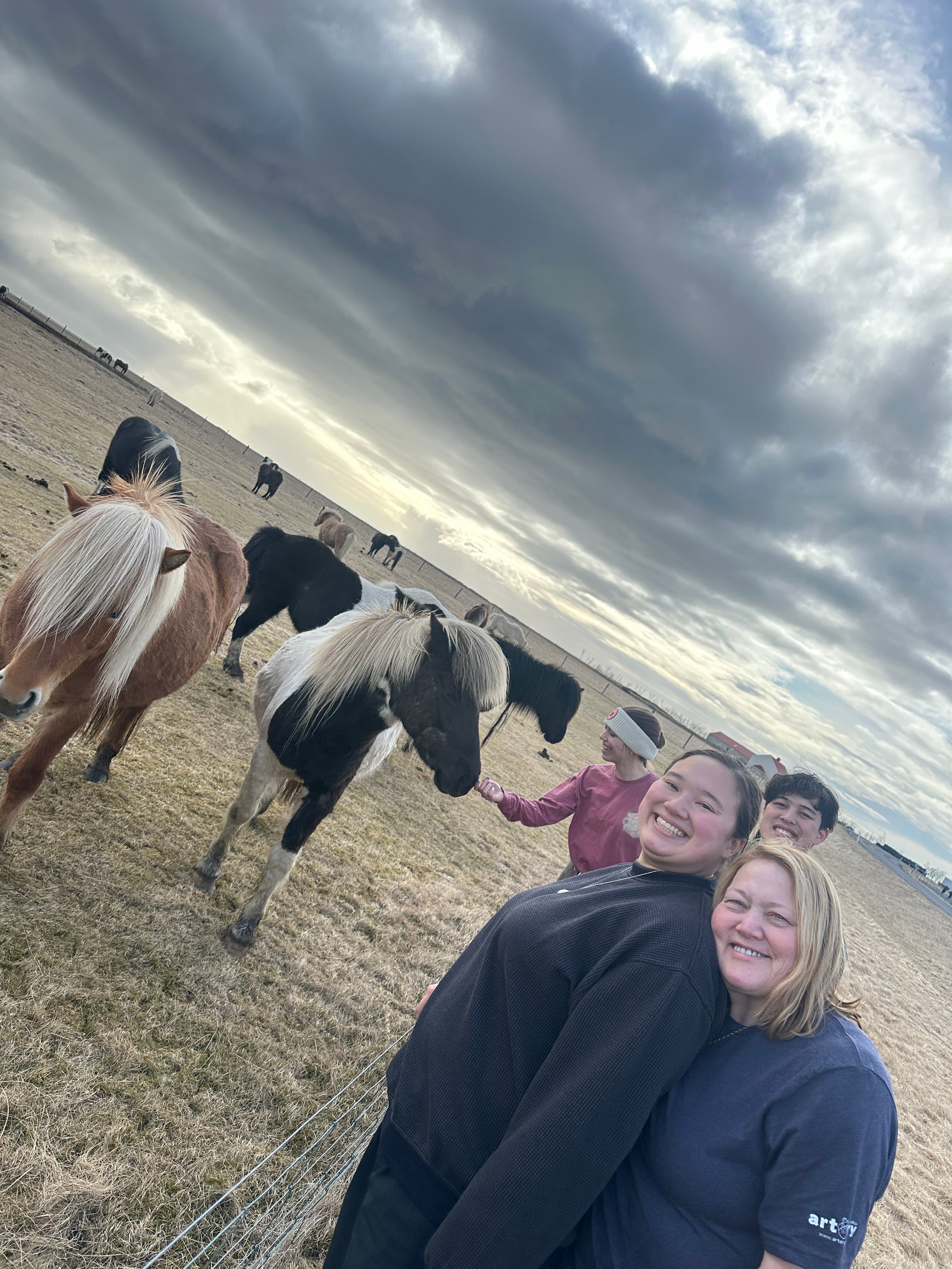 Private South Coast Tour and Viking Story Night with Icelandic Tasting - photo 18