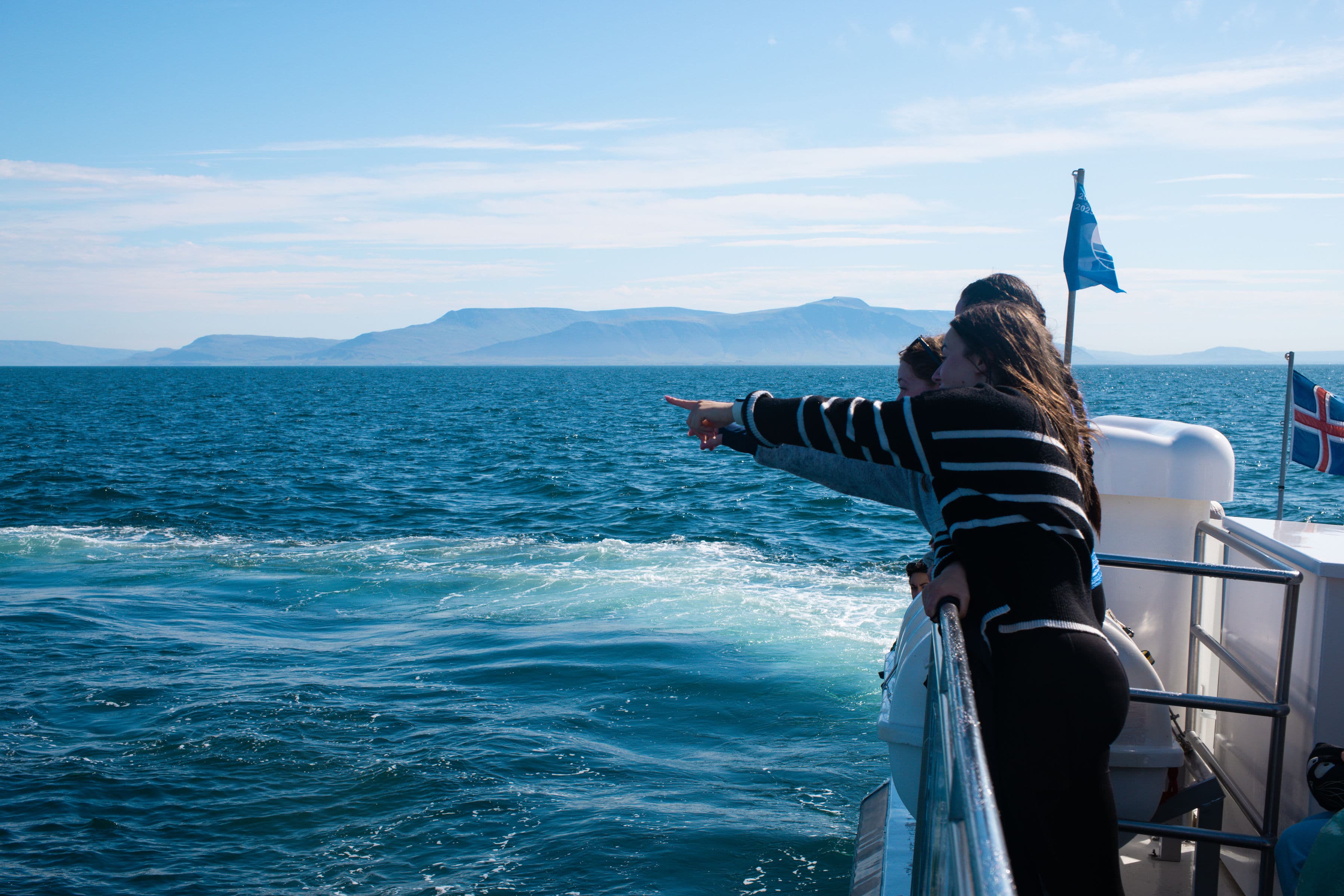 Whale Watching tour from Reykjavik - photo 3
