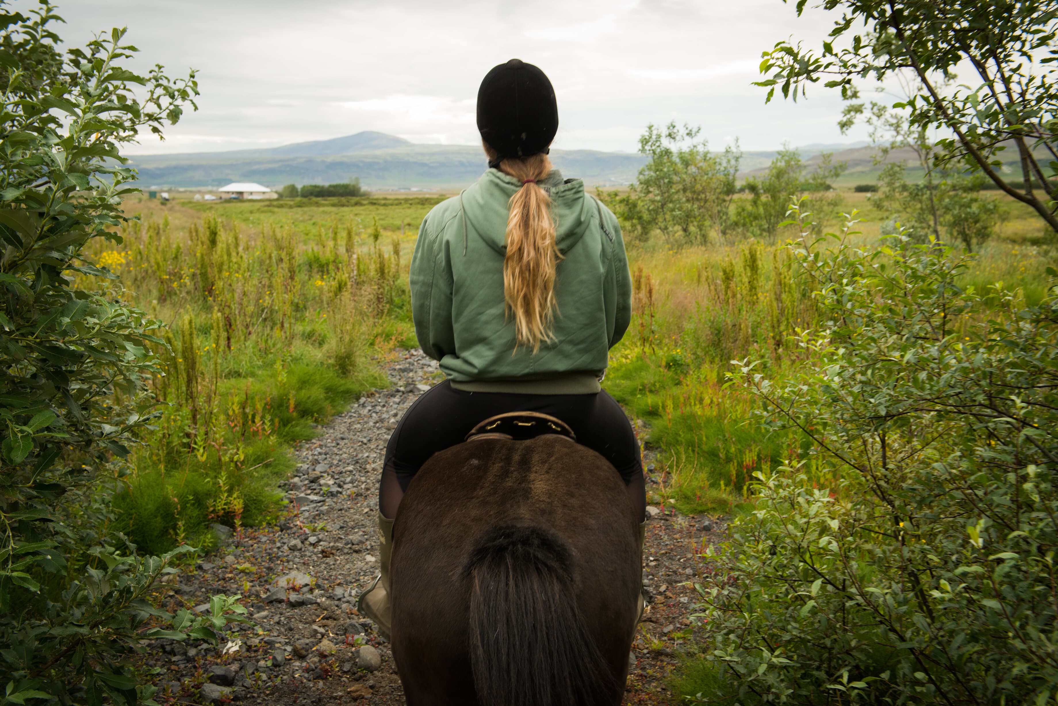 Hot Spring Valley Horse Riding Tour – Reykjadalur - photo 3