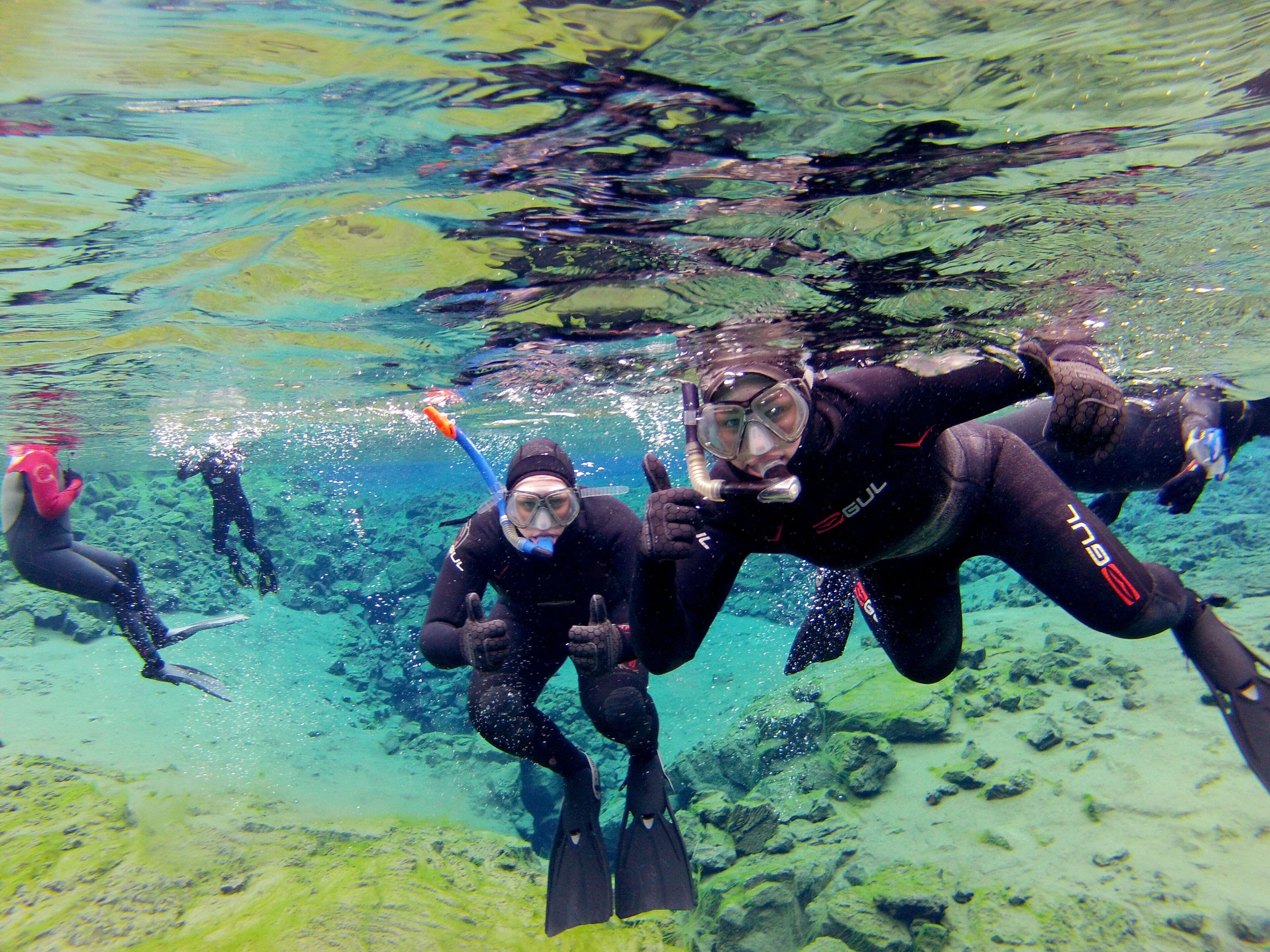 Golden Circle, Silfra Snorkeling & Fridheimar Tomato Farm - with photos - photo 13