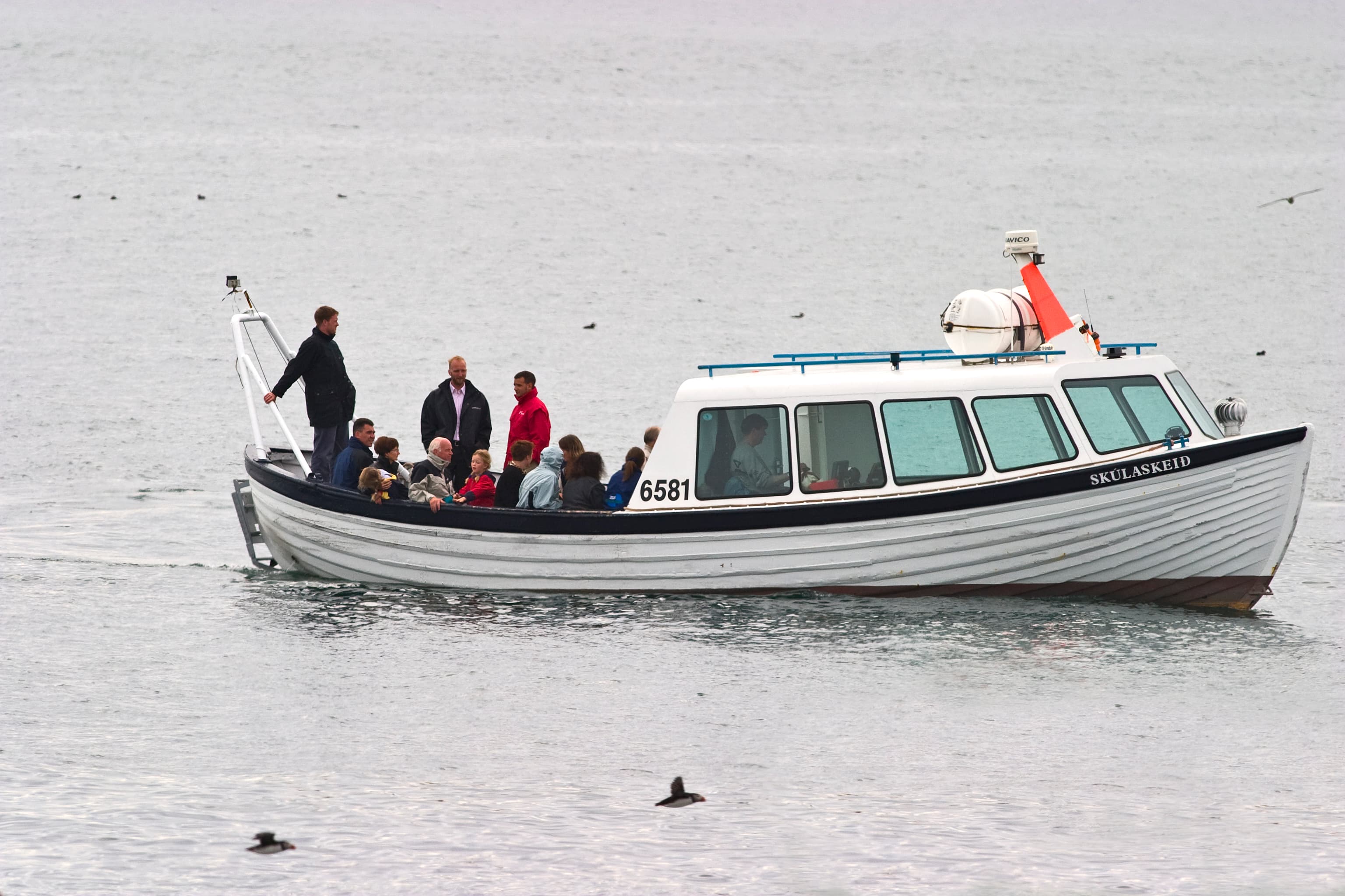 Whales & Puffins - photo 8