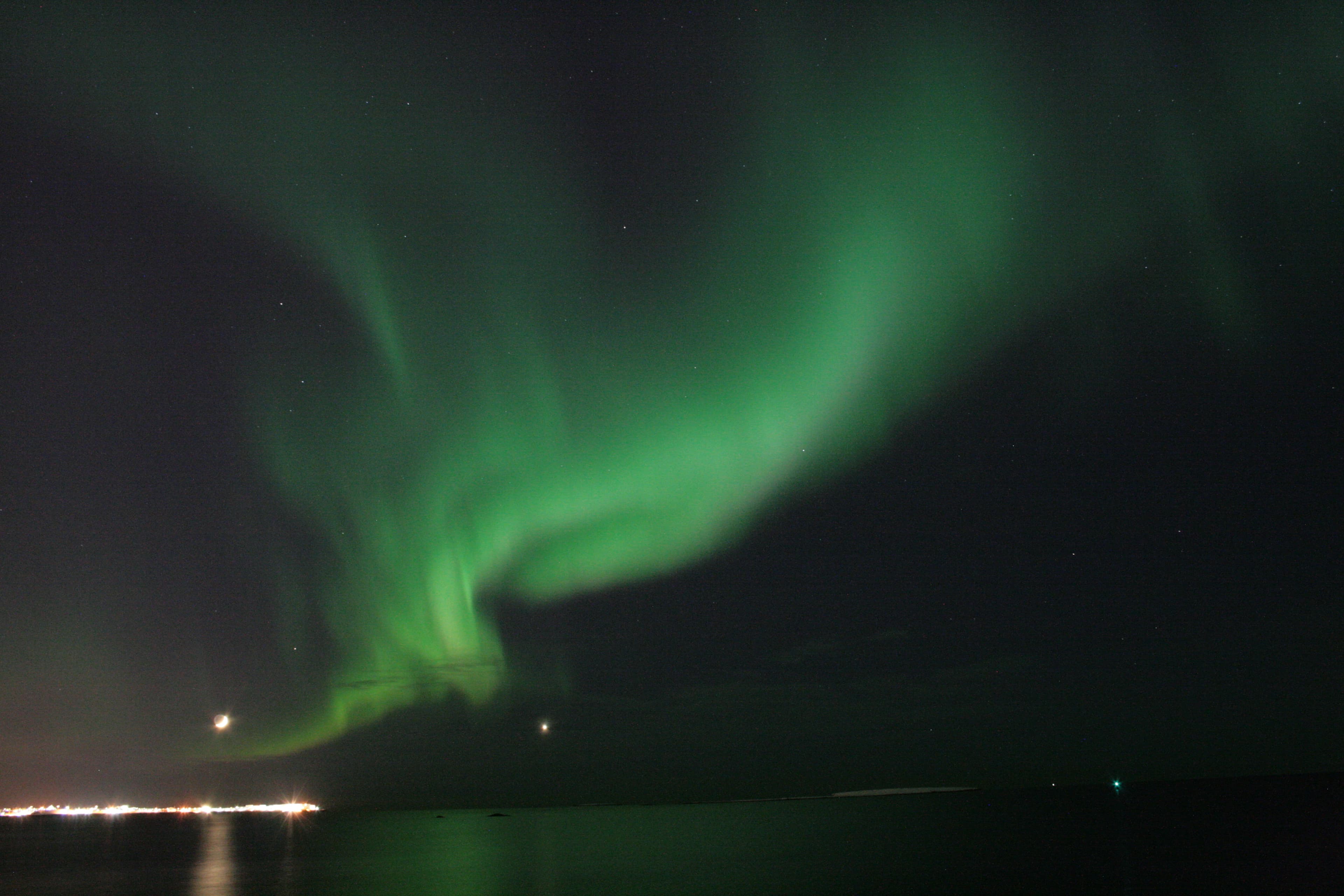 Whale Watching & Northern lights Combo Cruise from Reykjavik - photo 9