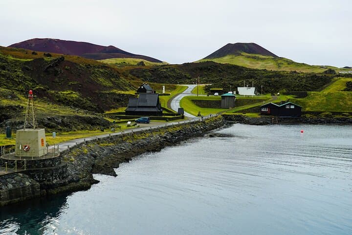 Vestmannaeyjar Private Day Tour - photo 5