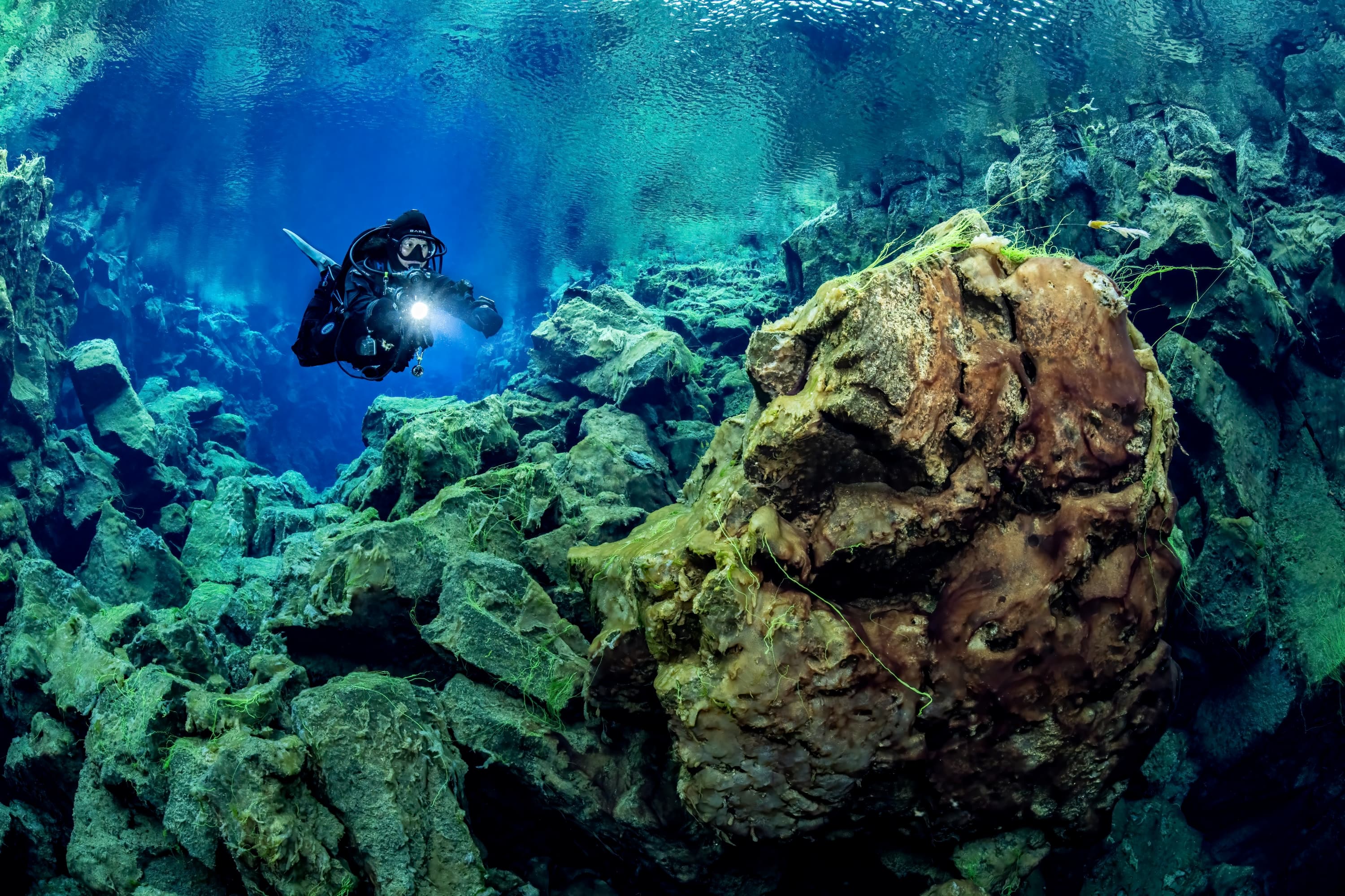 Deep Into the Blue - Silfra Diving - photo 2