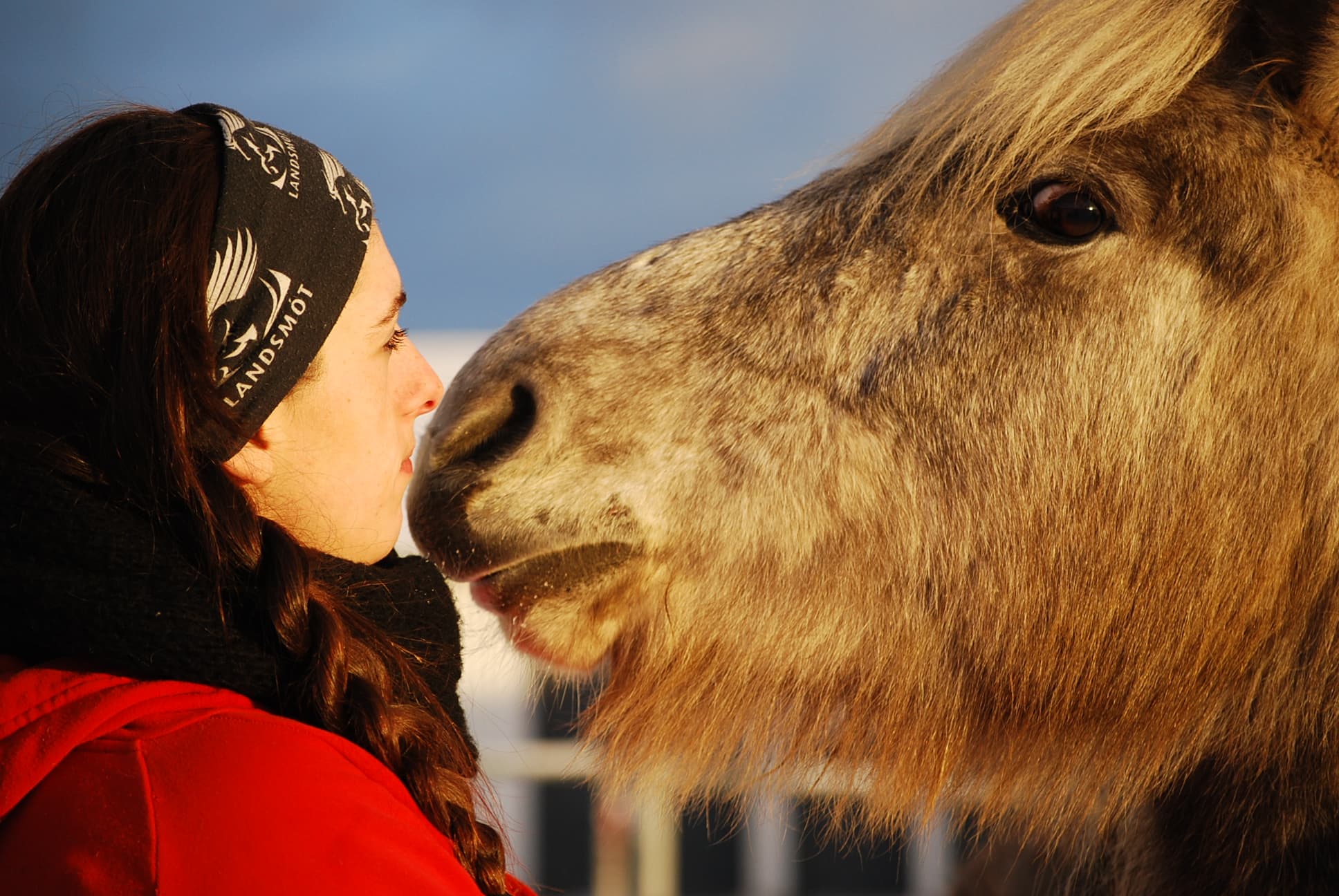 Whales & Horses - photo 3