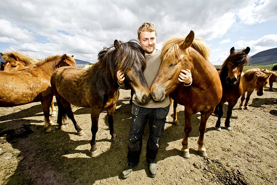 Silfra Snorkeling - with underwater photos & Horseback riding - photo 15