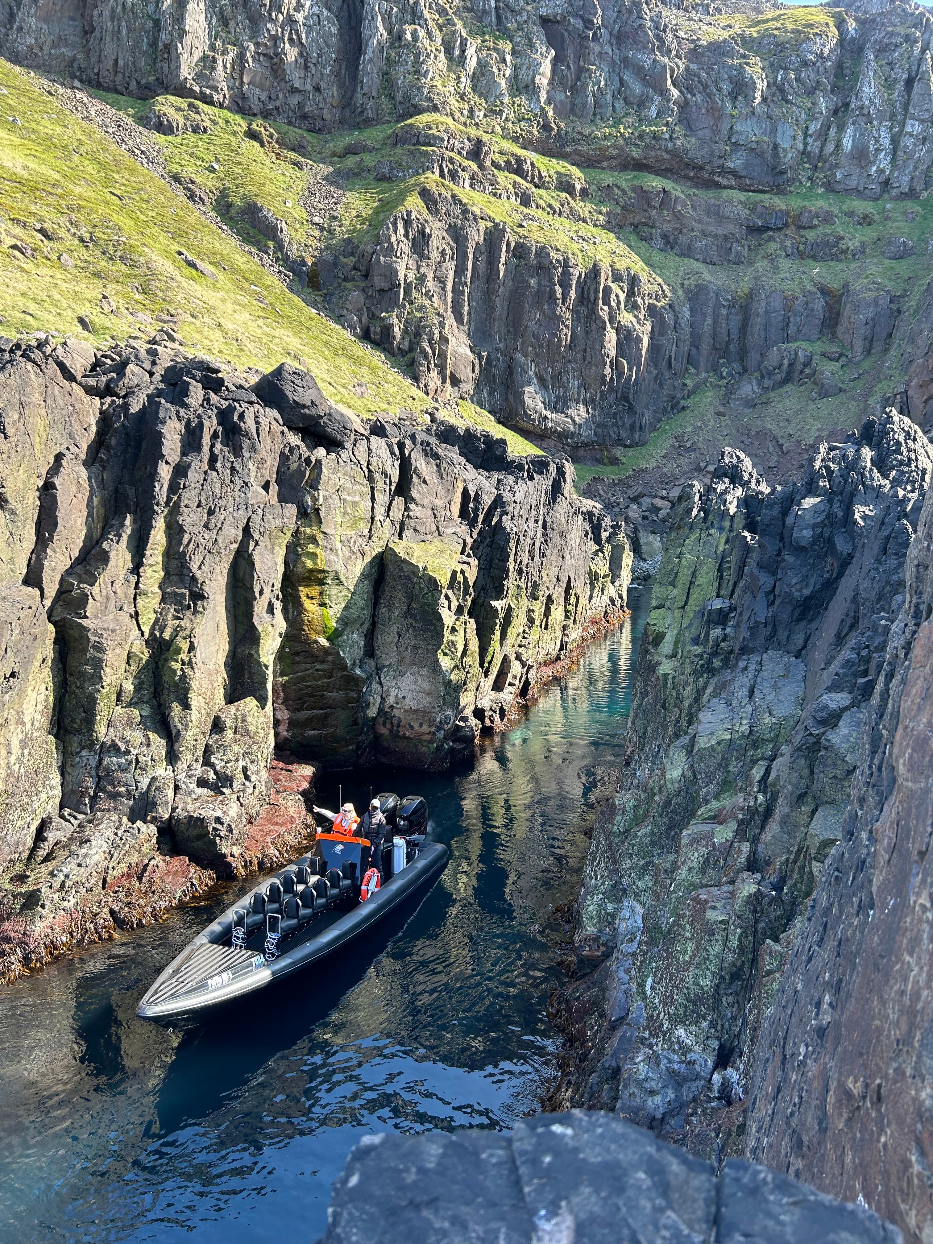 Puffin Quest - photo 15