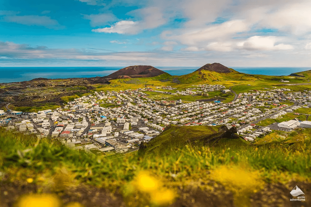Vestmannaeyjar Day Tour - photo 17