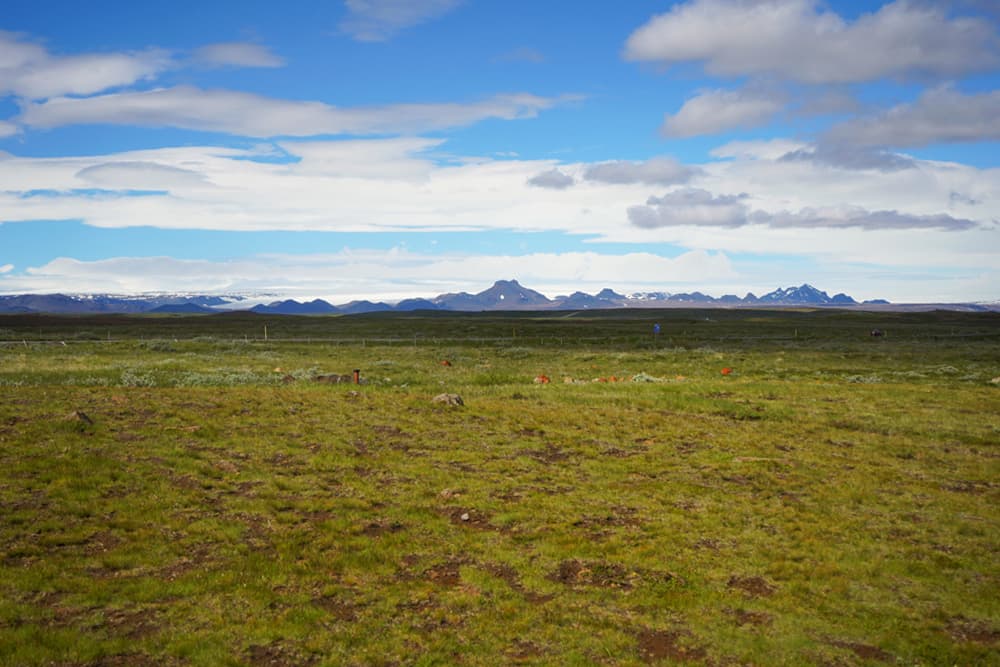 Private Golden Circle, Friðheimar & Your Choice of Geothermal Lagoon - photo 5