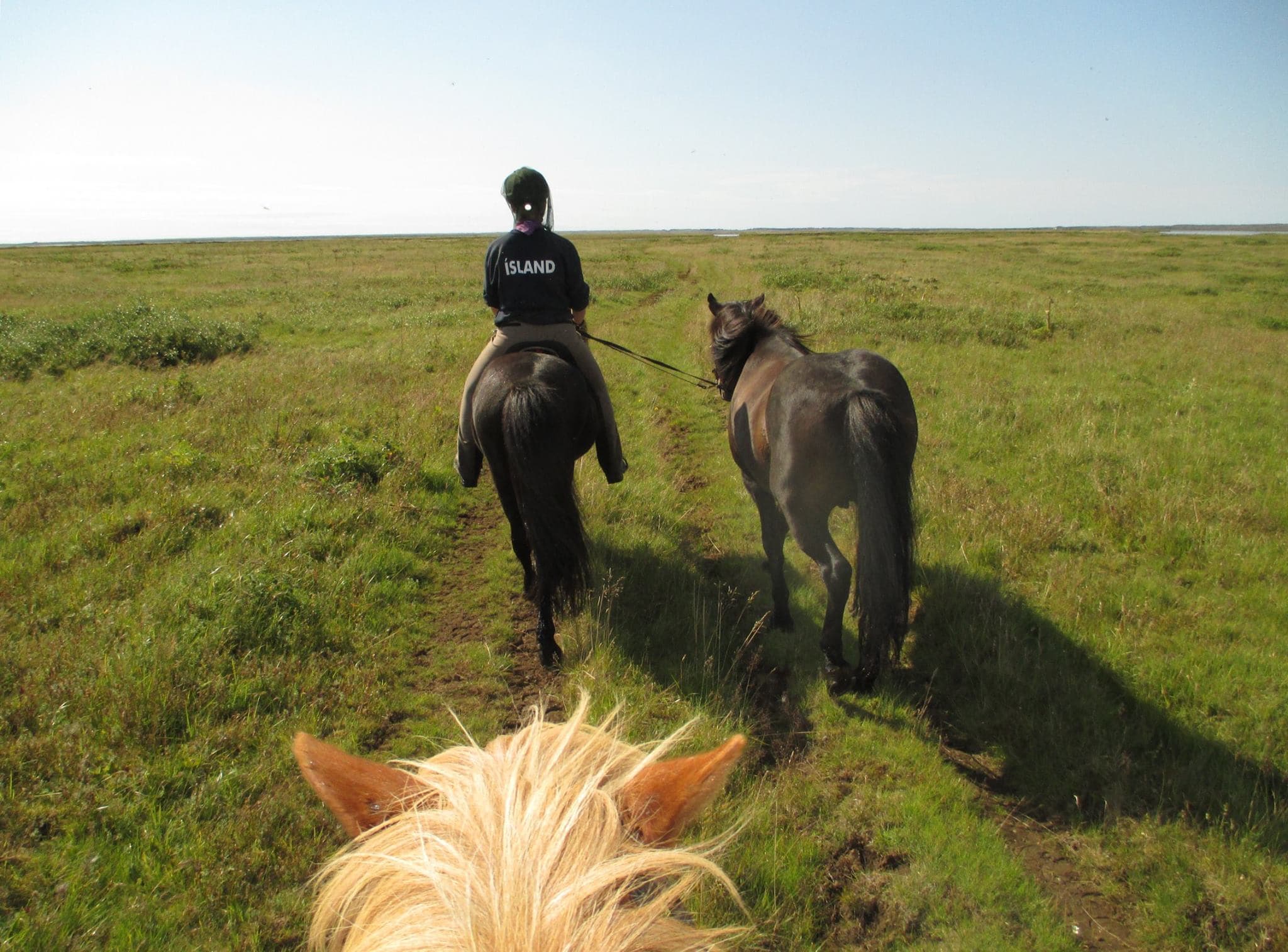 Reykjavík Sea Horse - photo 9