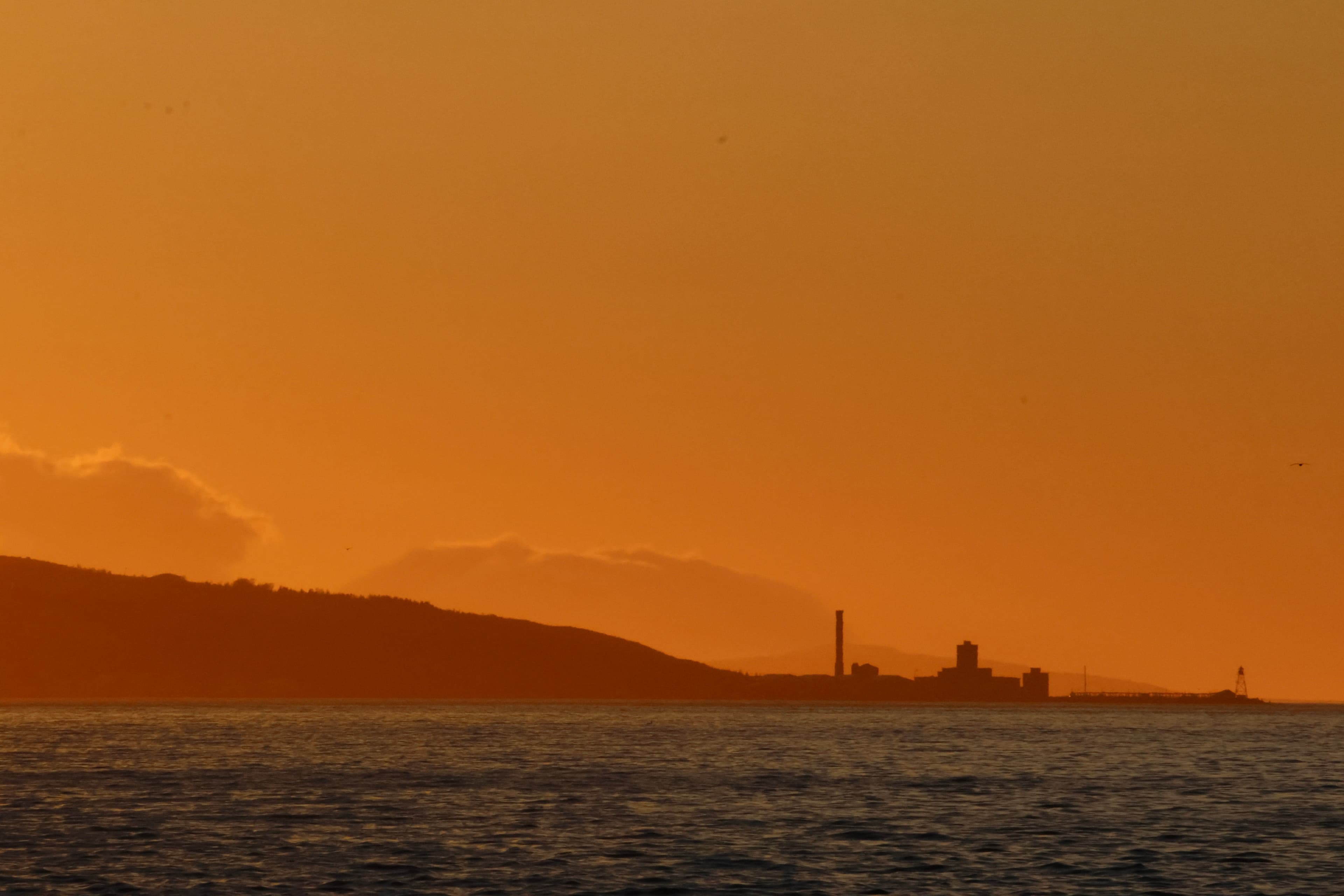 Akureyri Classic Whales in the Midnight Sun - photo 4