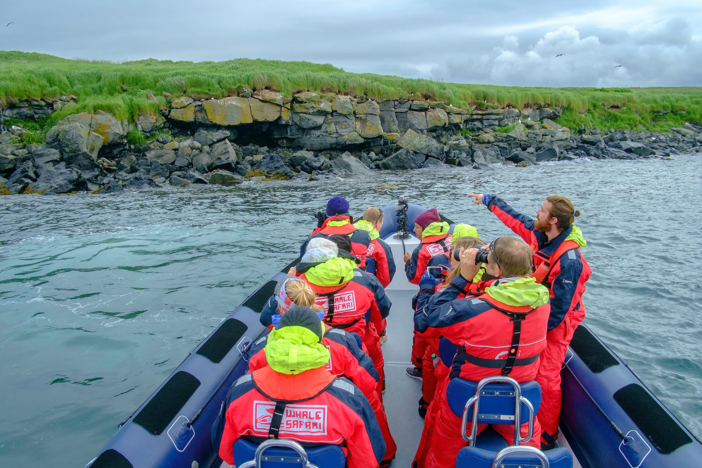 Premium Puffin Tour - photo 8