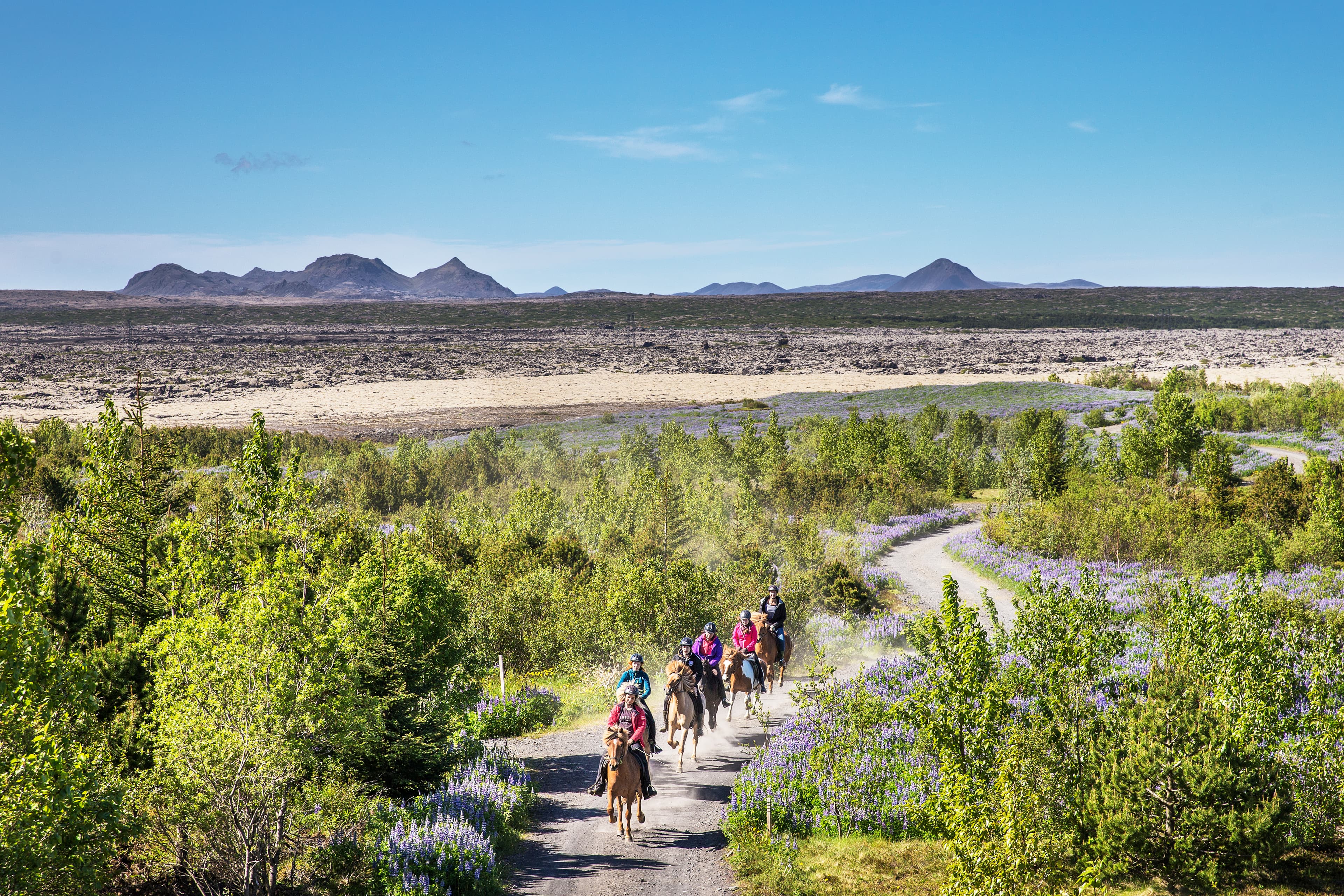 Lava Tour - Horseback Riding through the Lava Fields - photo 5