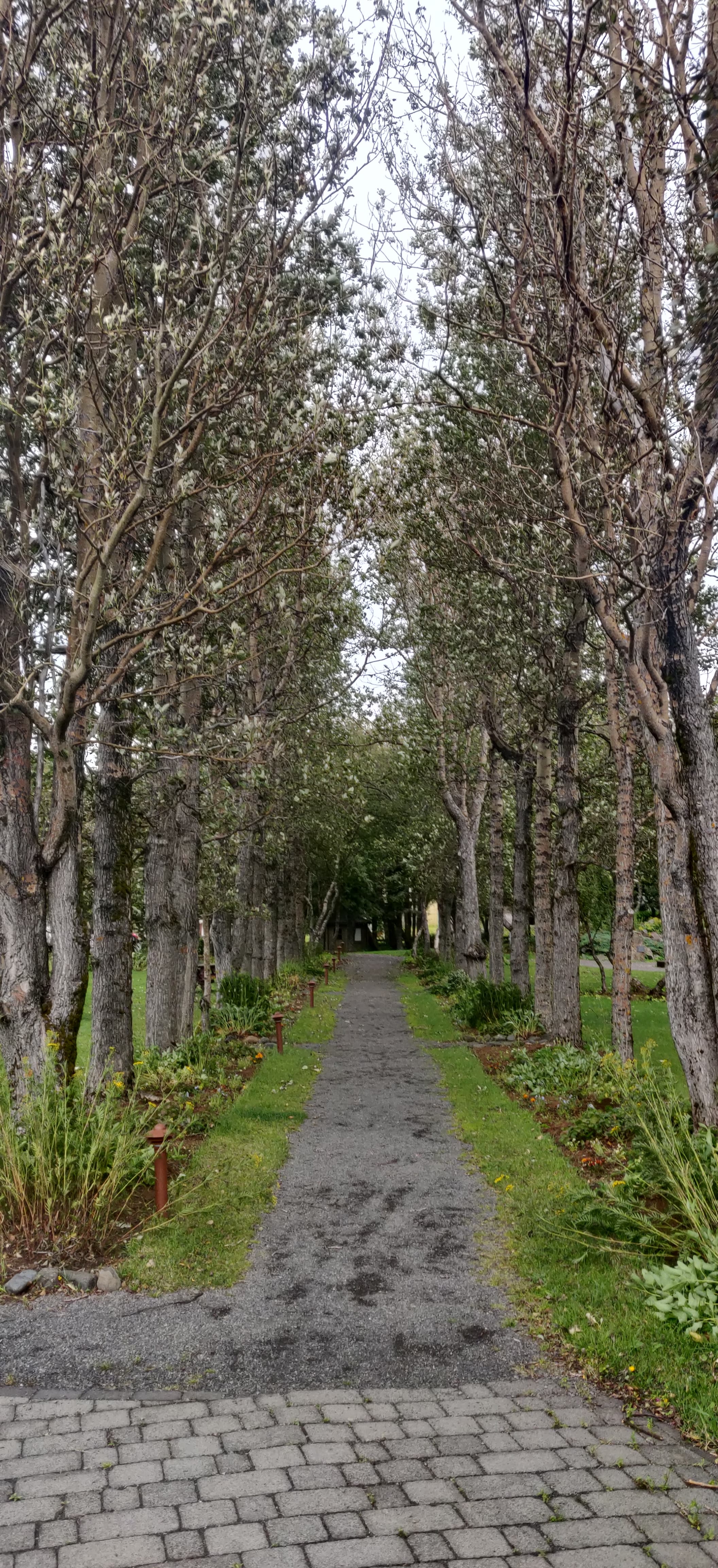 Private Day tour, you decide!  - photo 29