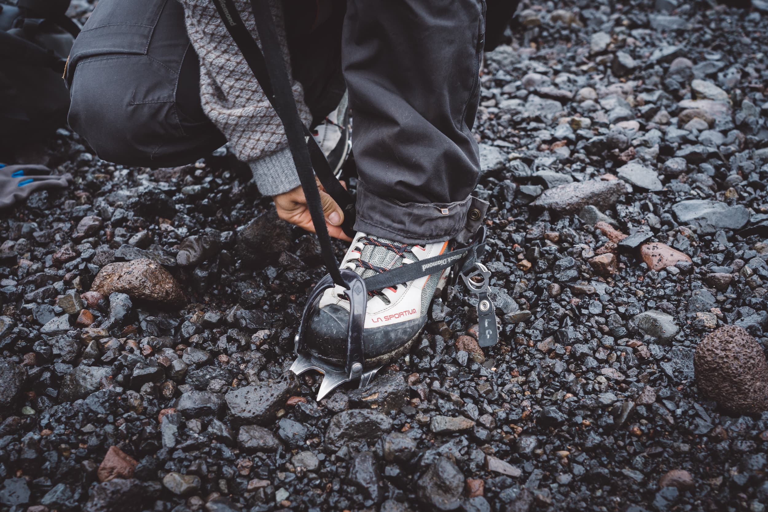 Glacier Encounter  - photo 4