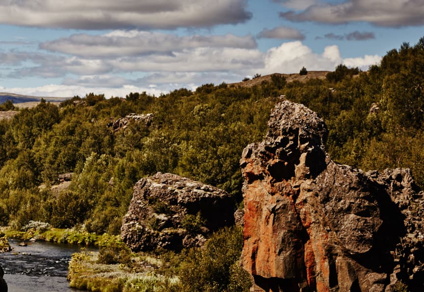 Paradise Valley & Highlands | Private Tour - photo 4