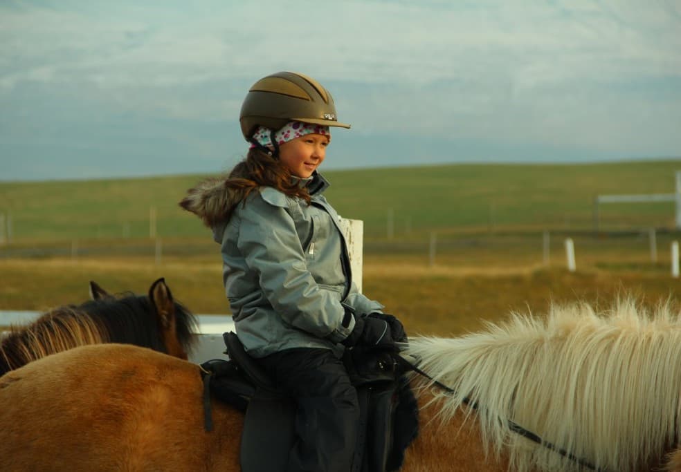 Date the Icelandic Horse - photo 4