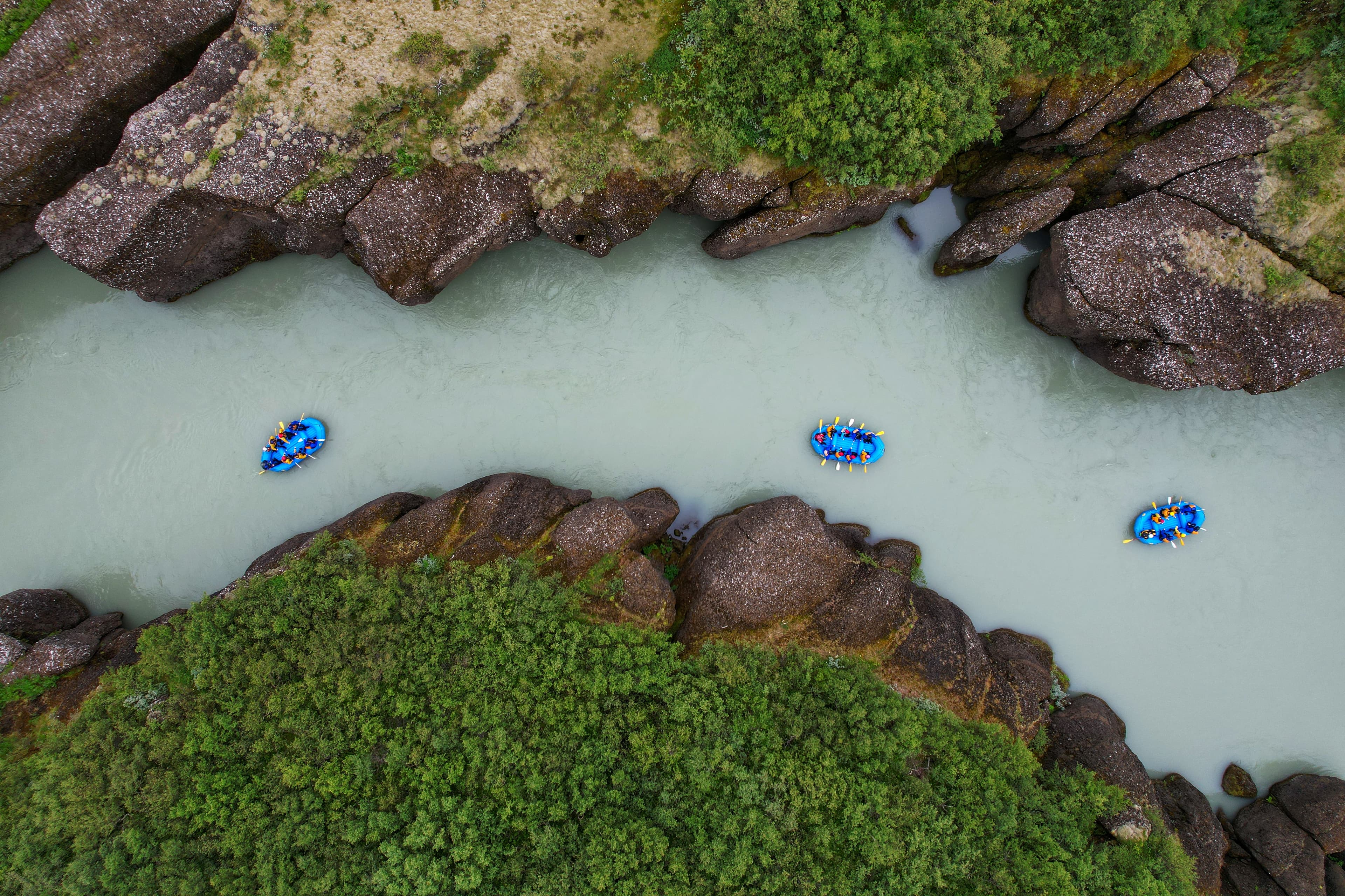 Rafting & Whale Watching - photo 2