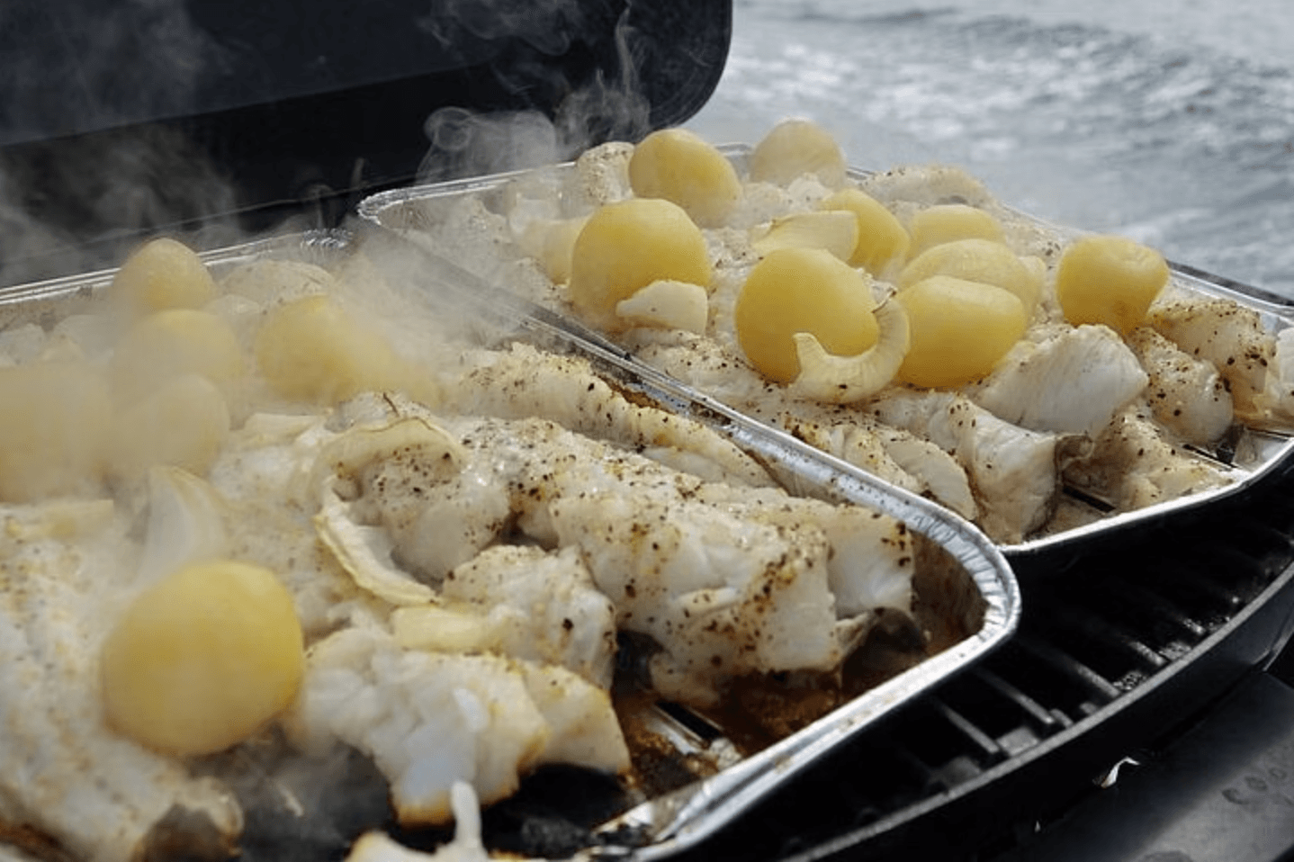 Reykjavík Sea Angling Gourmet - photo 3