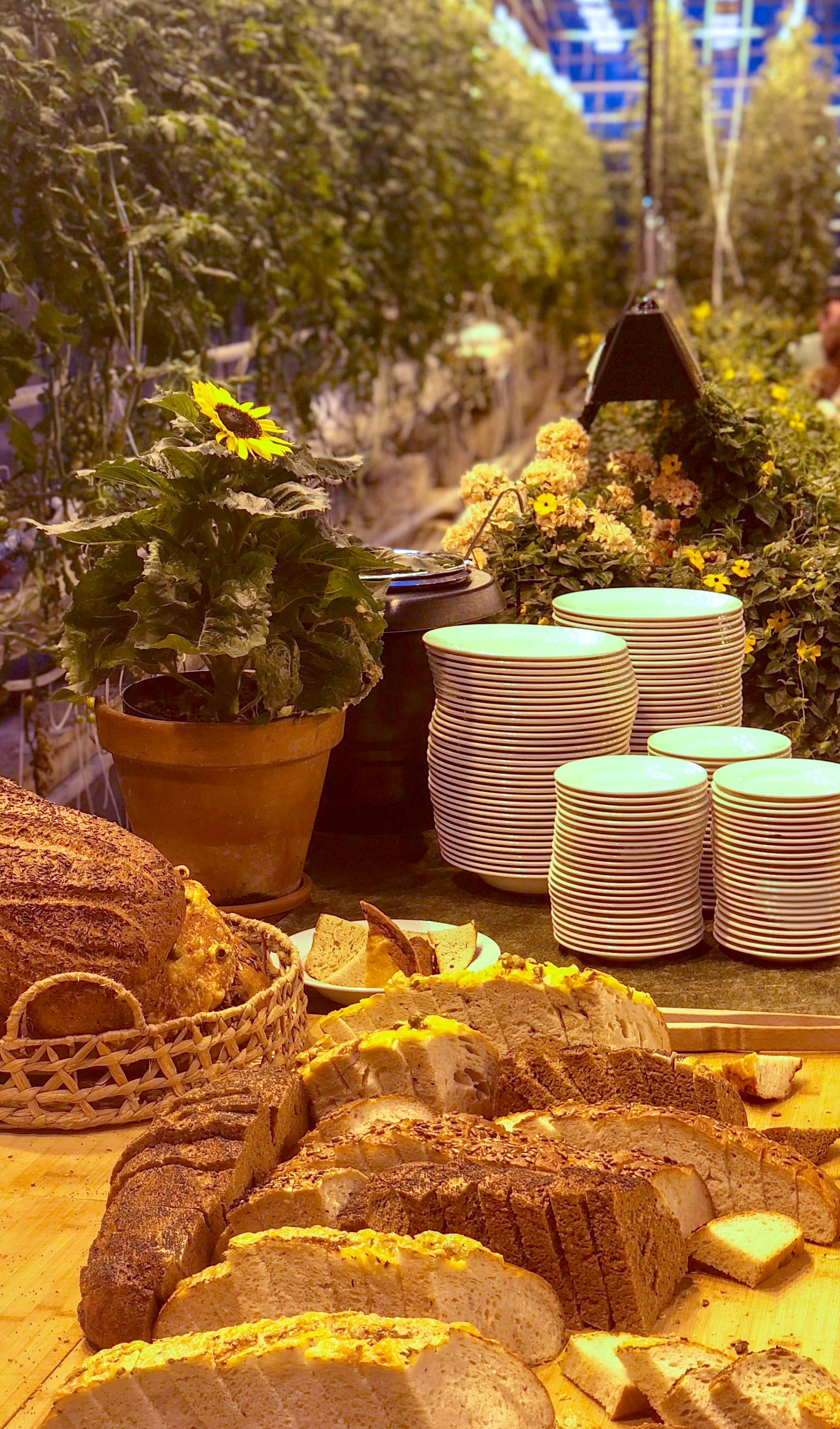 Private Gourmet Golden Circle Tour - photo 10