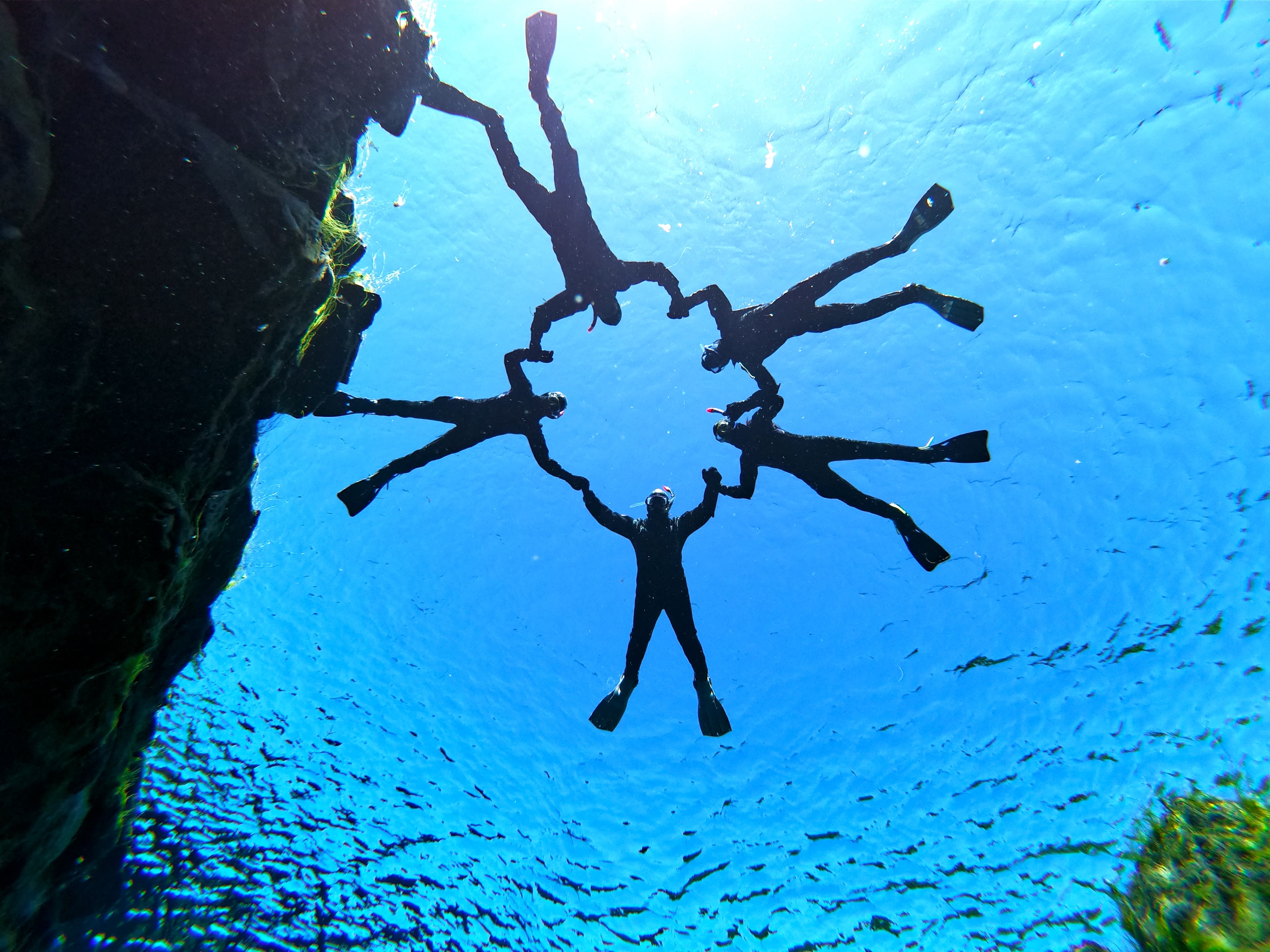 Wetsuit Snorkeling in Silfra - with underwater photos / From Reykjavik  - photo 13