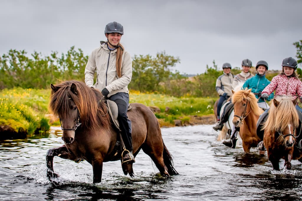 Viking Horses Morning Tour - photo 4
