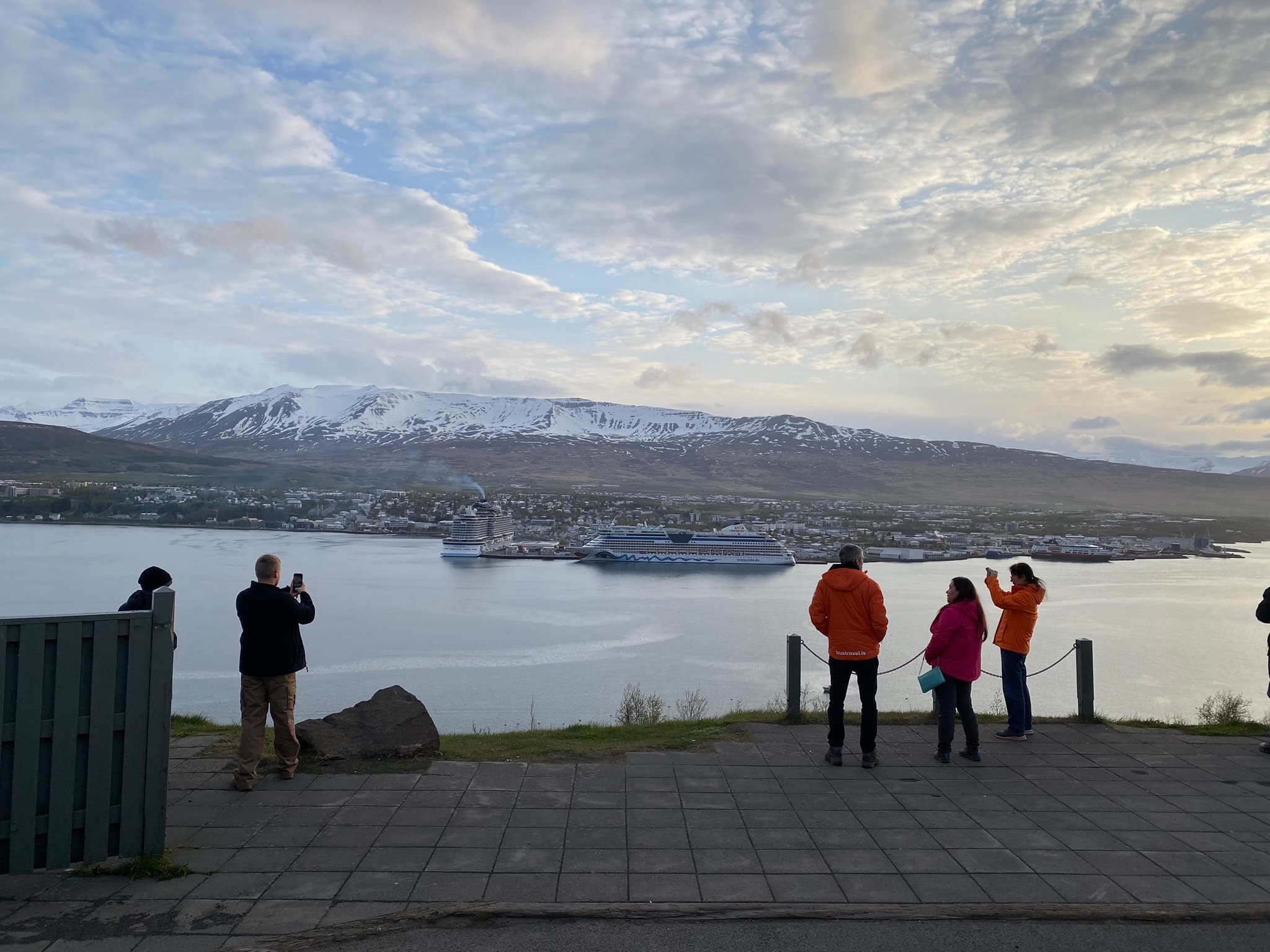 Goðafoss Waterfall & Whale Watching Tour from Akureyri - photo 4