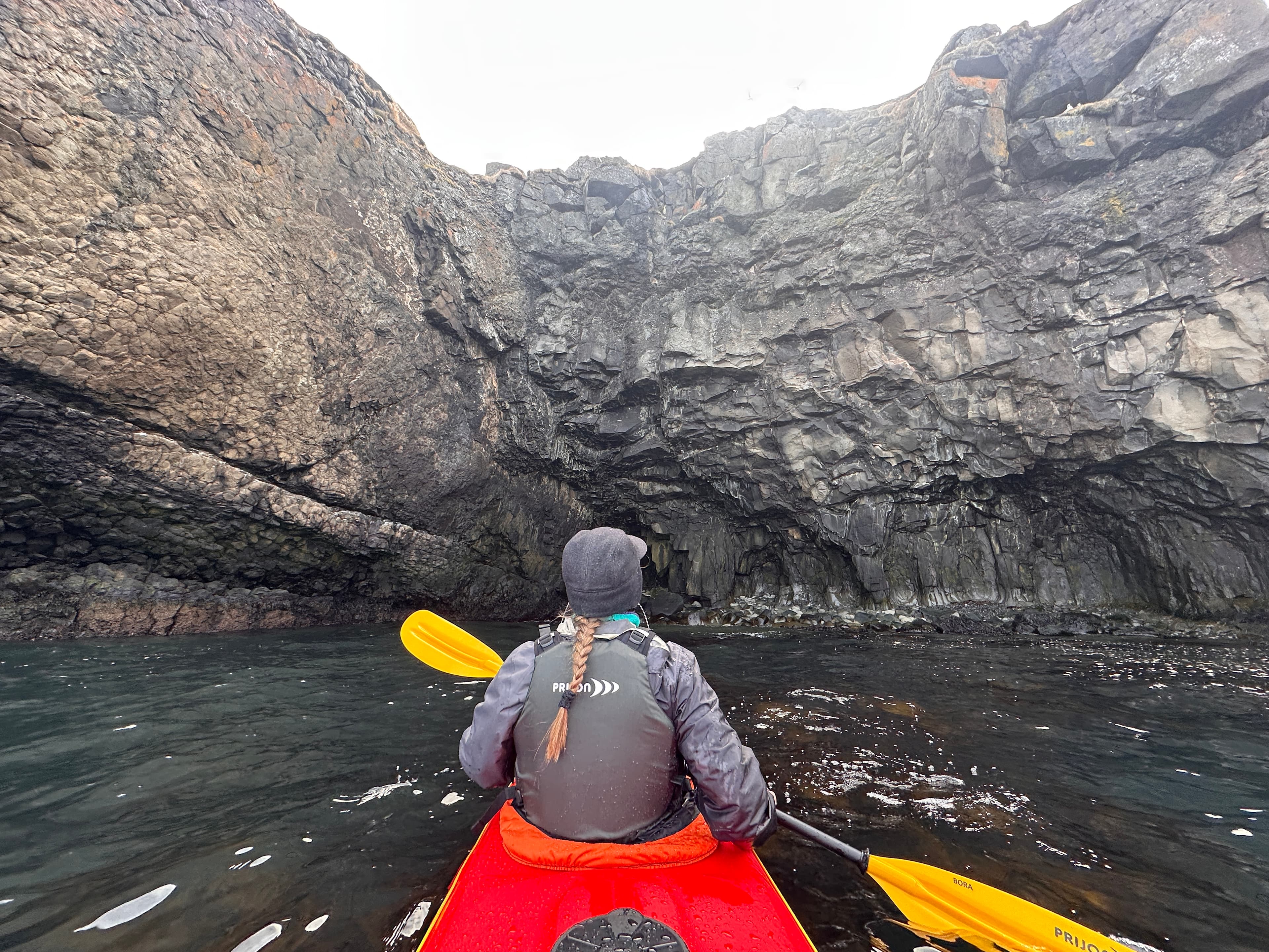Guided Kayak Tour in Árskógssandur: Explore Coastline & Wildlife - photo 11
