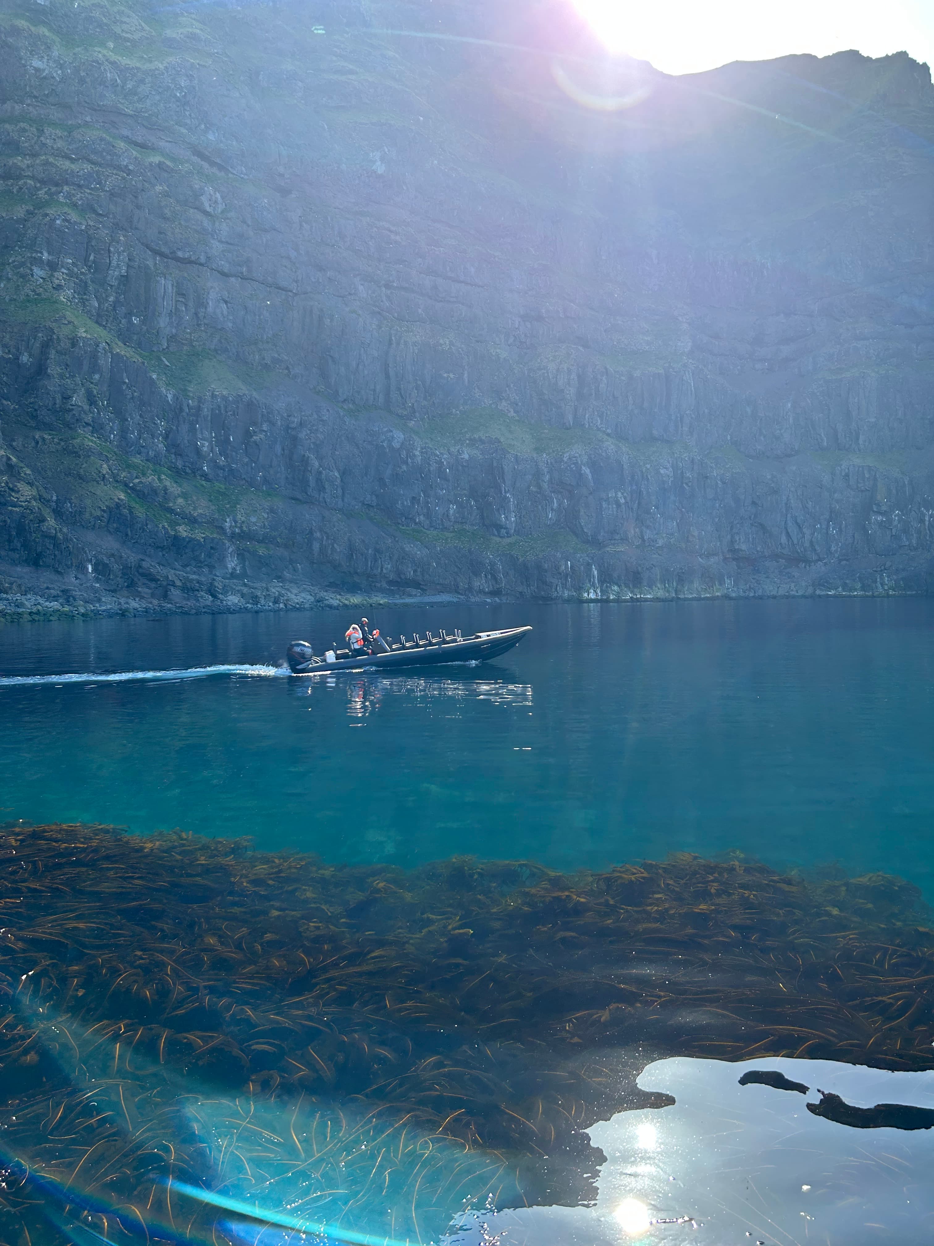 Puffin Quest - photo 18