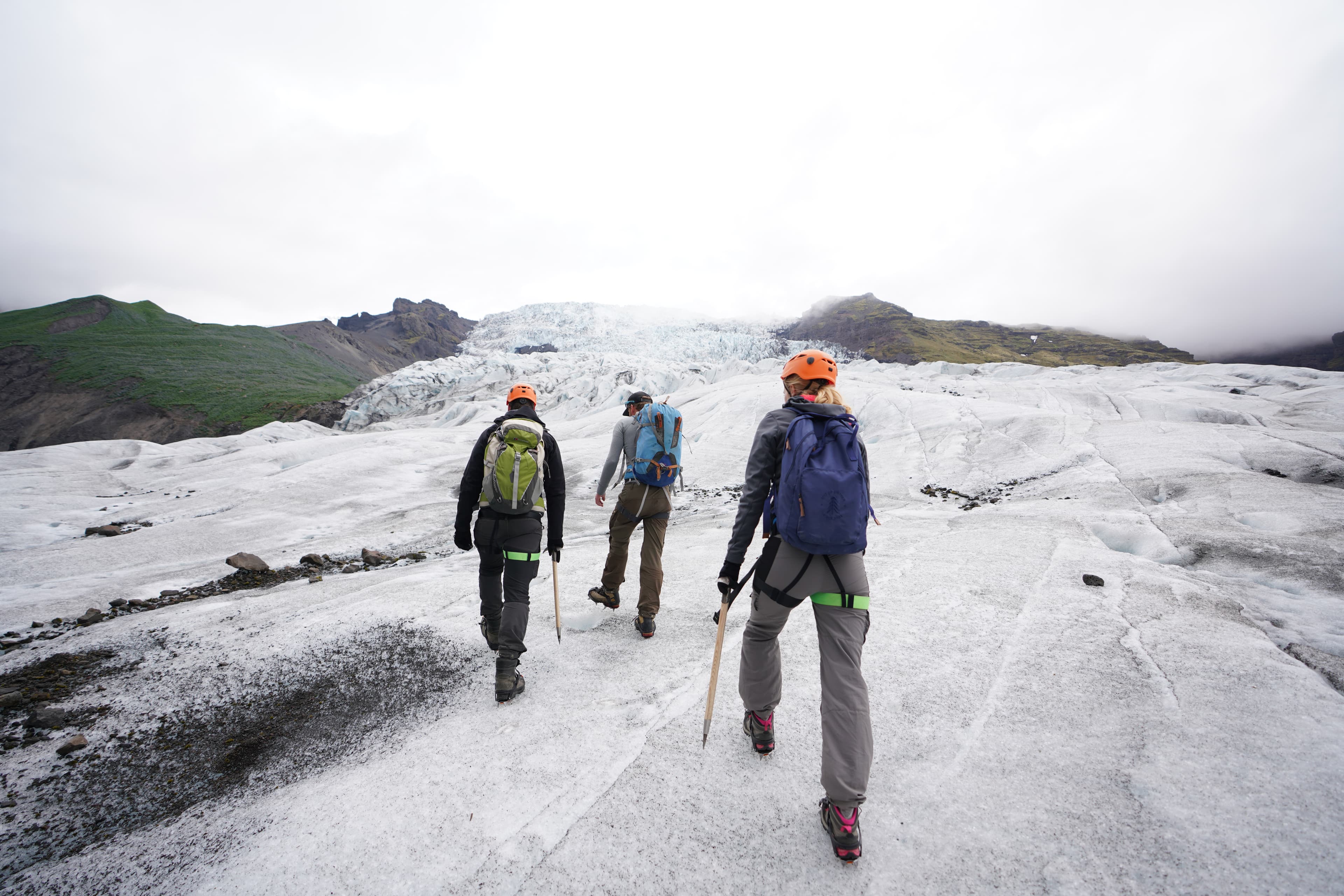 Glacier Encounter  - photo 5