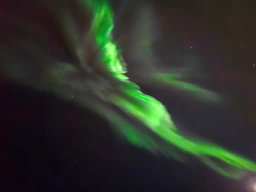 Reykjavík Whales & Northern Lights - photo 24
