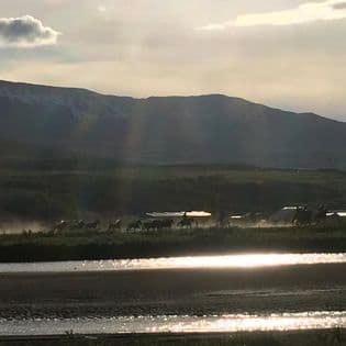 Horse Riding Tour and Explore Scenery in Gásir Akureyri - photo 11