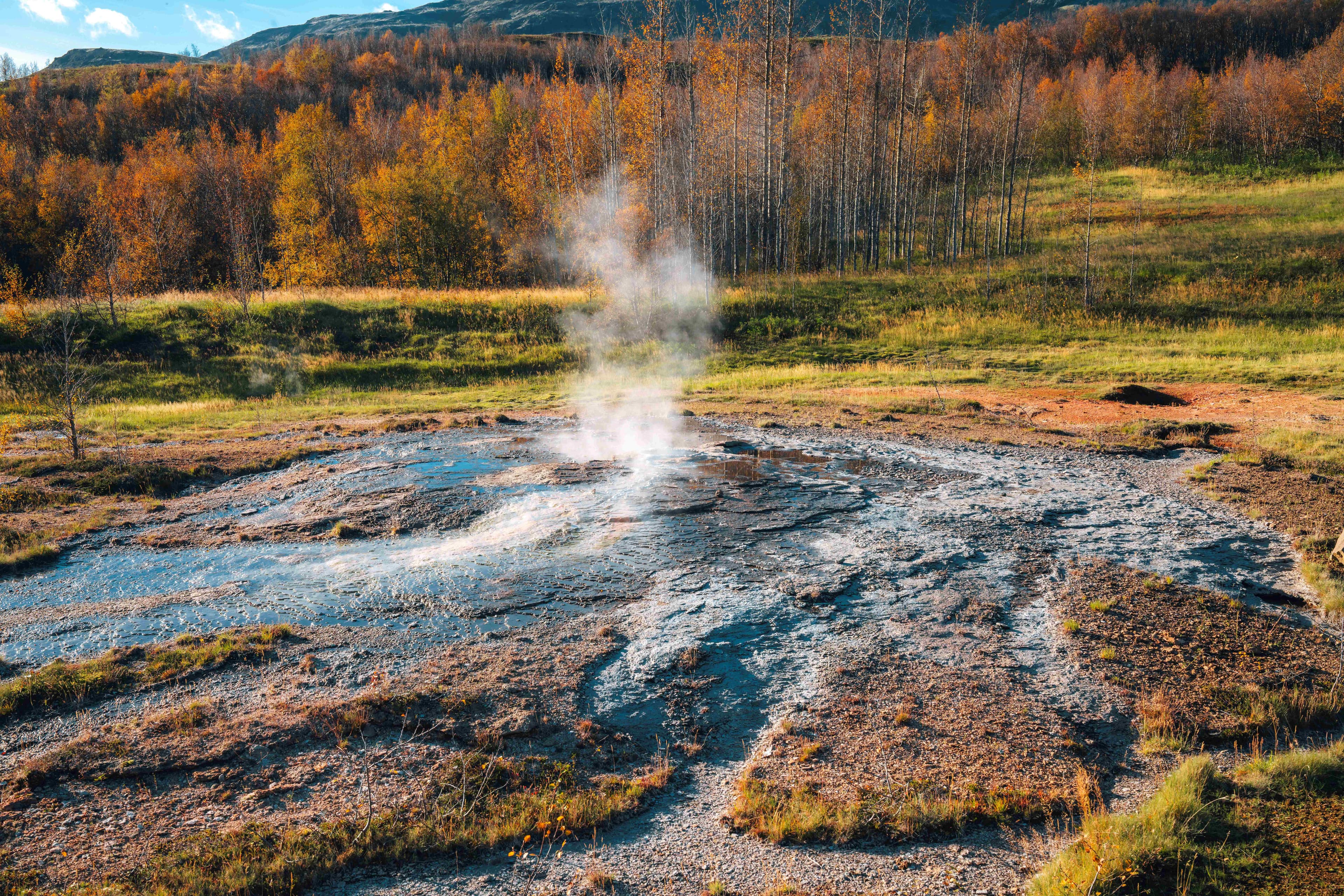 Golden Circle & Laugarvatn Fontana Small Group Day Tour - photo 18