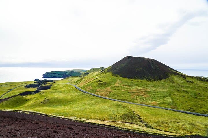 Vestmannaeyjar Private Day Tour - photo 3