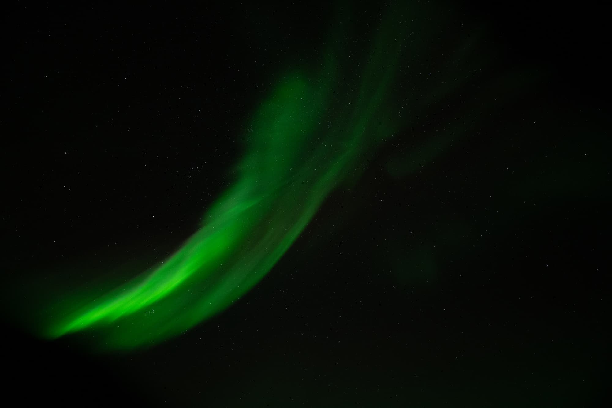 Northern Lights in Mini Bus with Local Pastries, Hot Chocolate and Photos - photo 13
